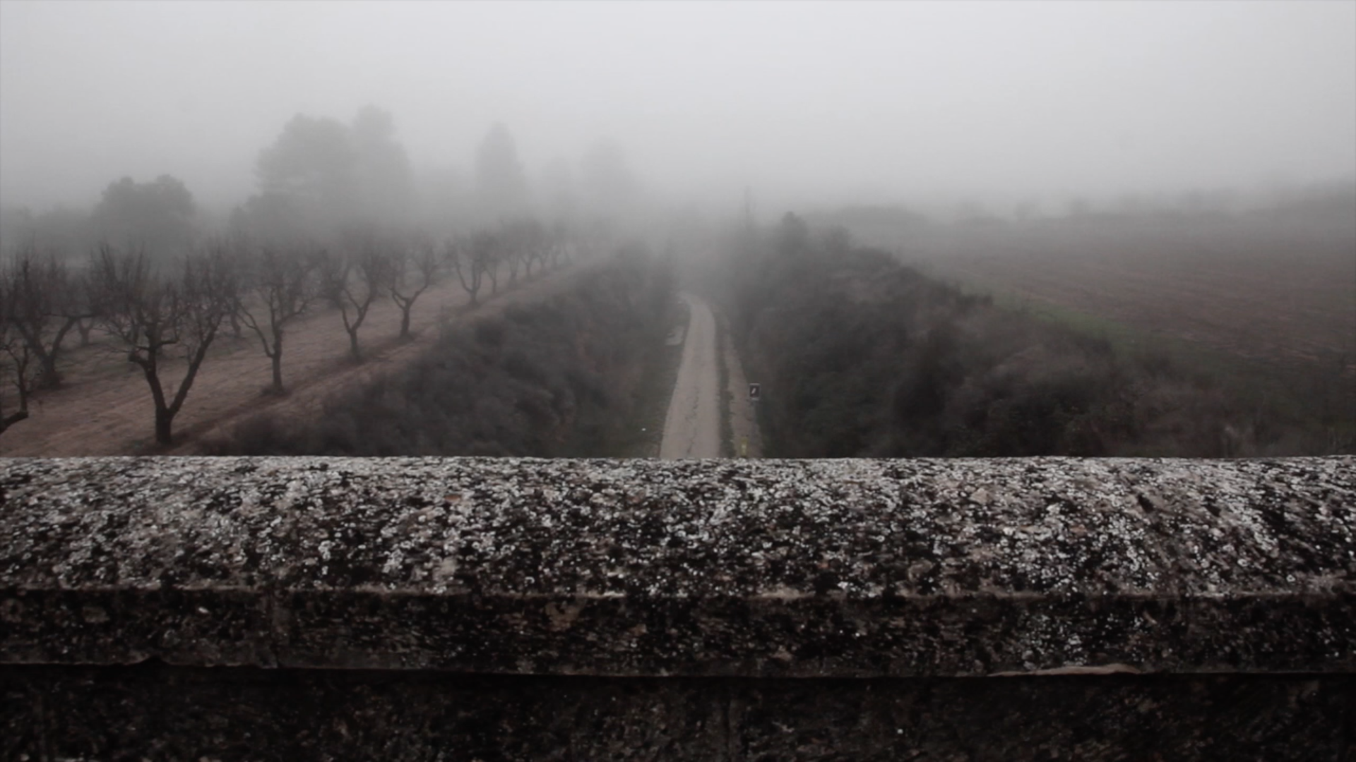 Horta