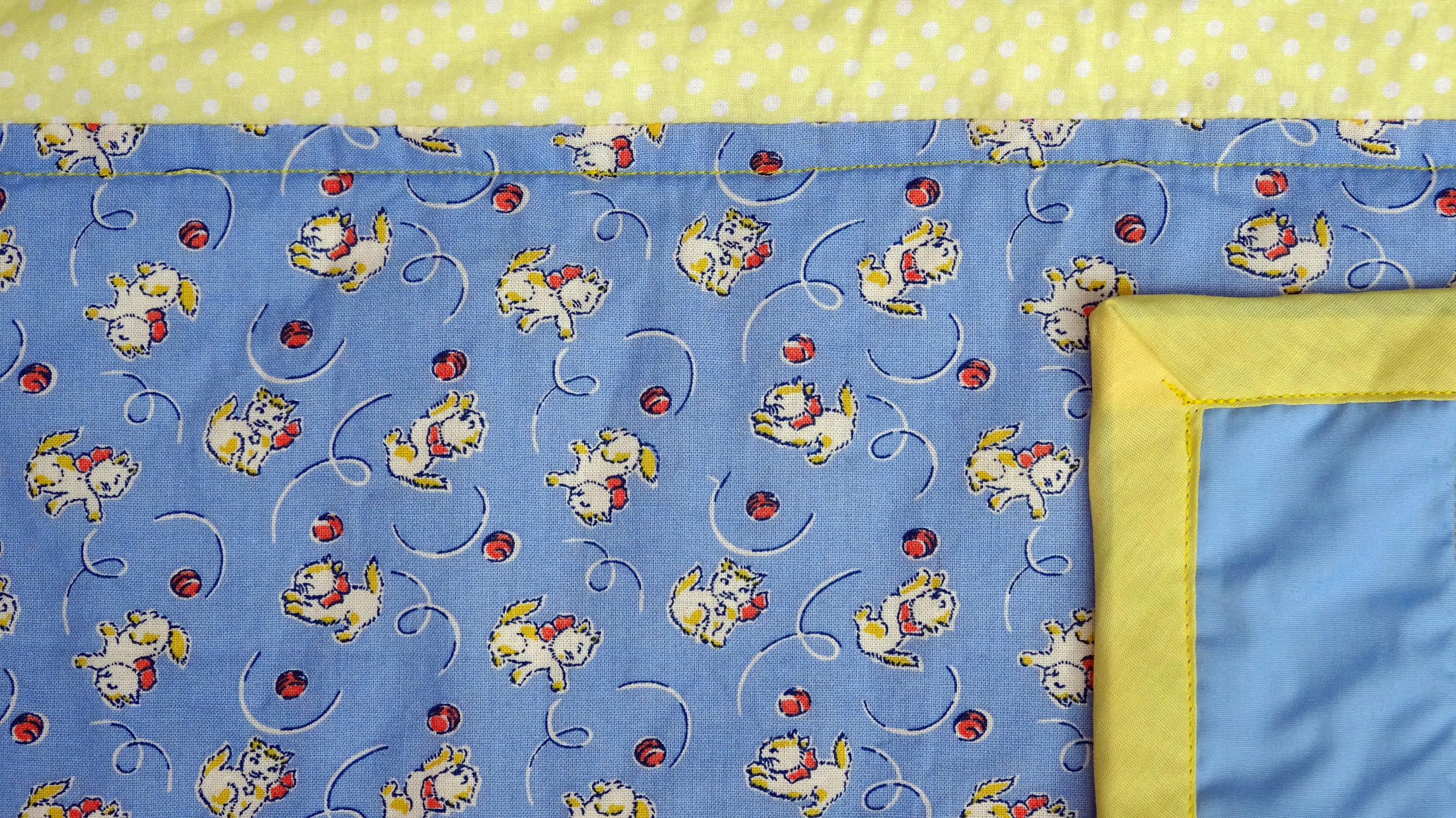 Napper Kitty with Ball close up .jpg