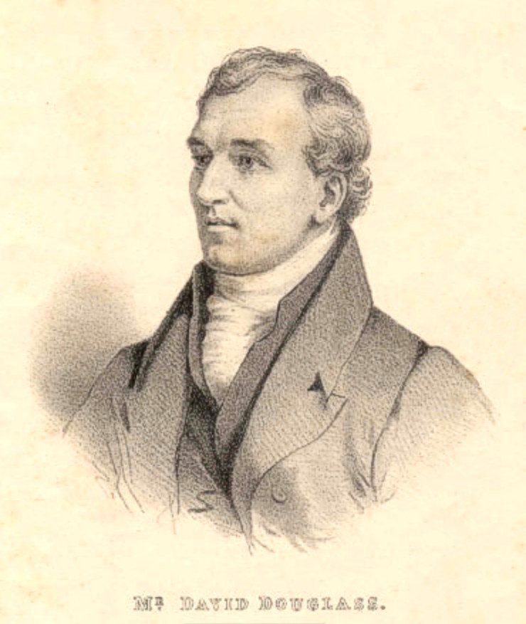 David Douglas