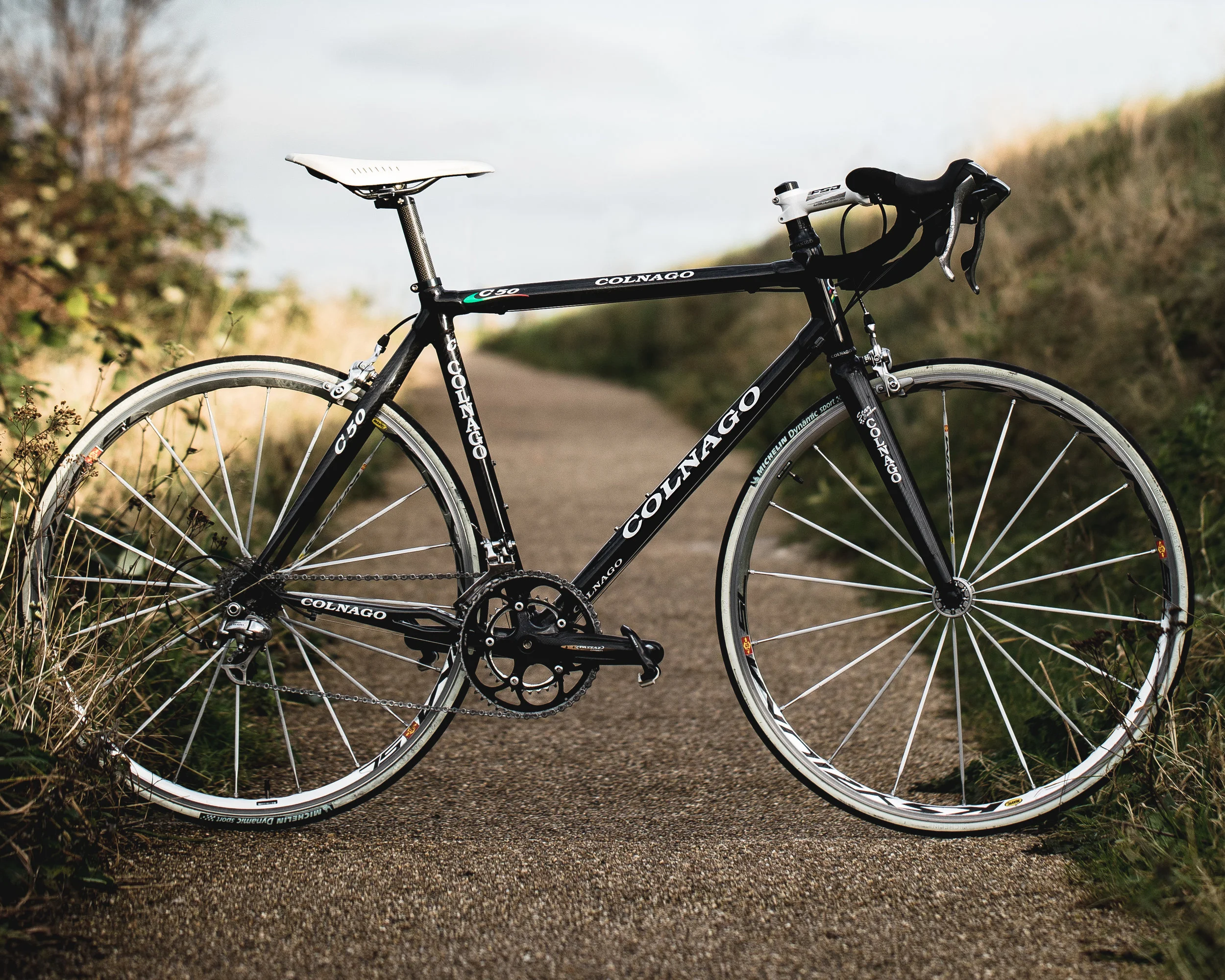 palu-stories-colnago-c50.jpg