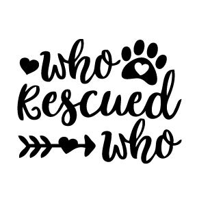 S4 | Who Rescued Who 