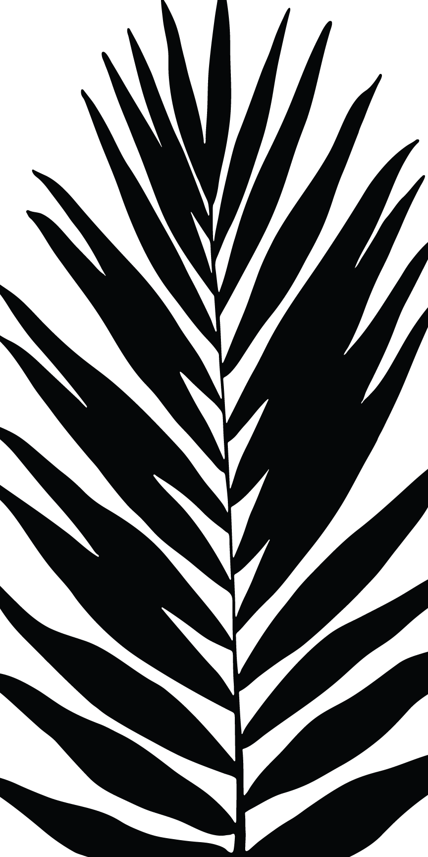 BV8 | Vertical Plant Leaf