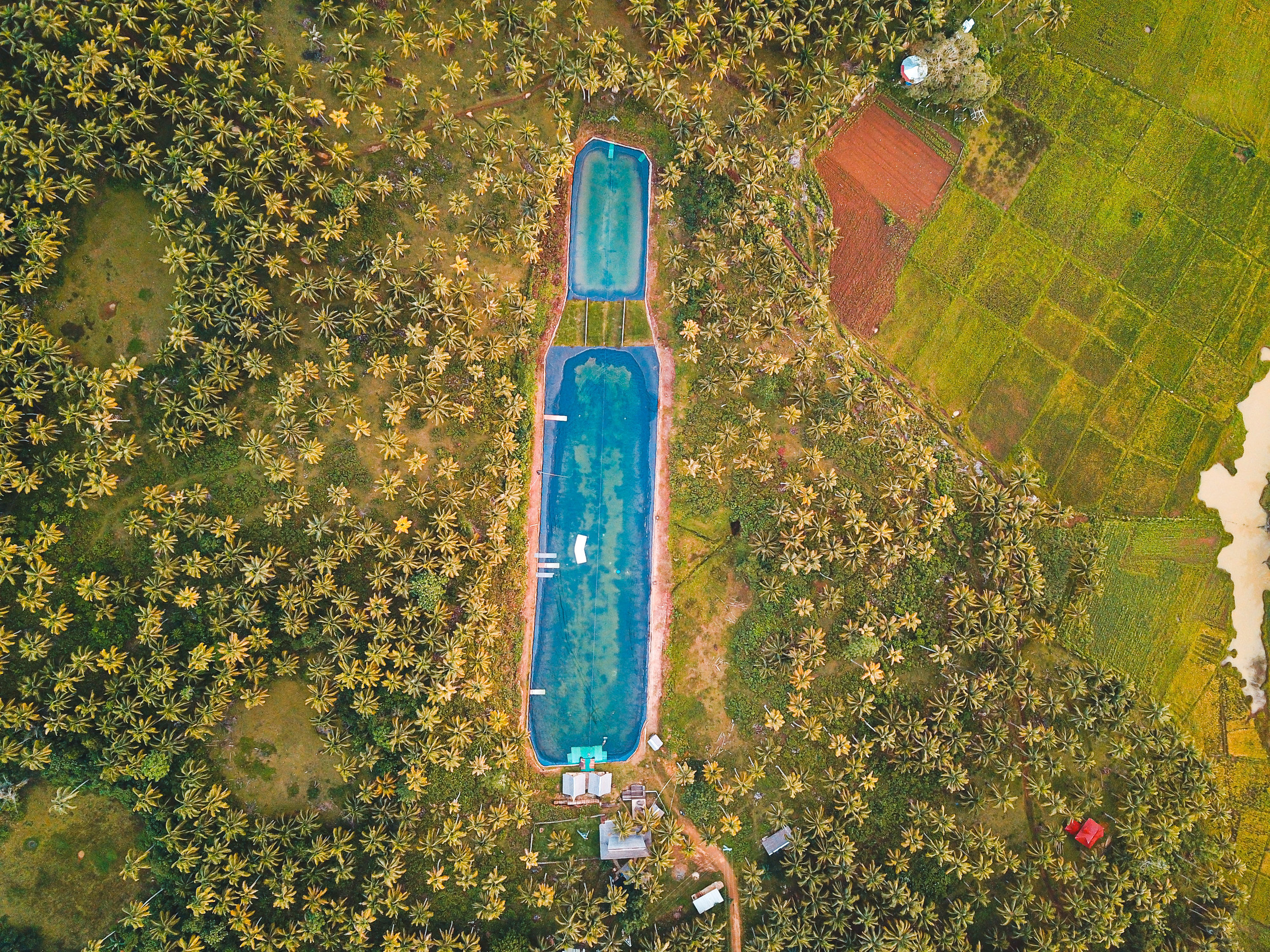 DJI_0006.jpg