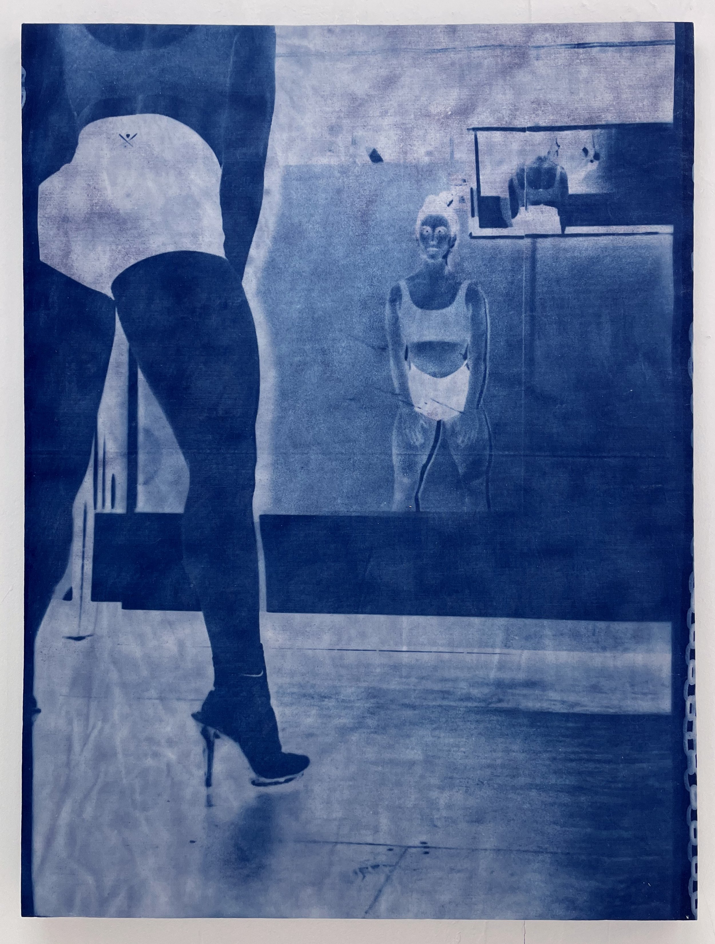  cyanotype on raw stretched canvas, 36” x 48”   