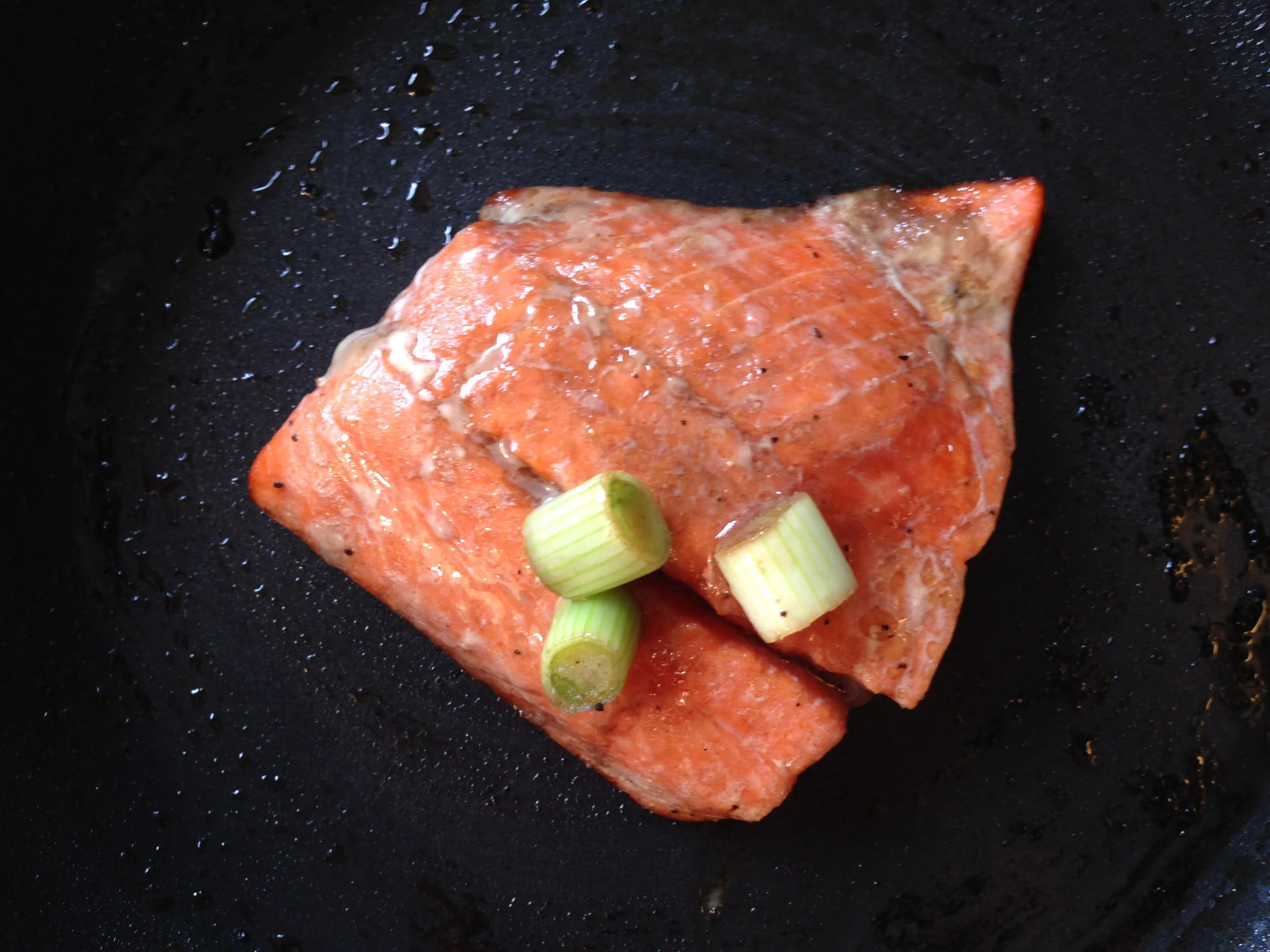 salmon.jpg