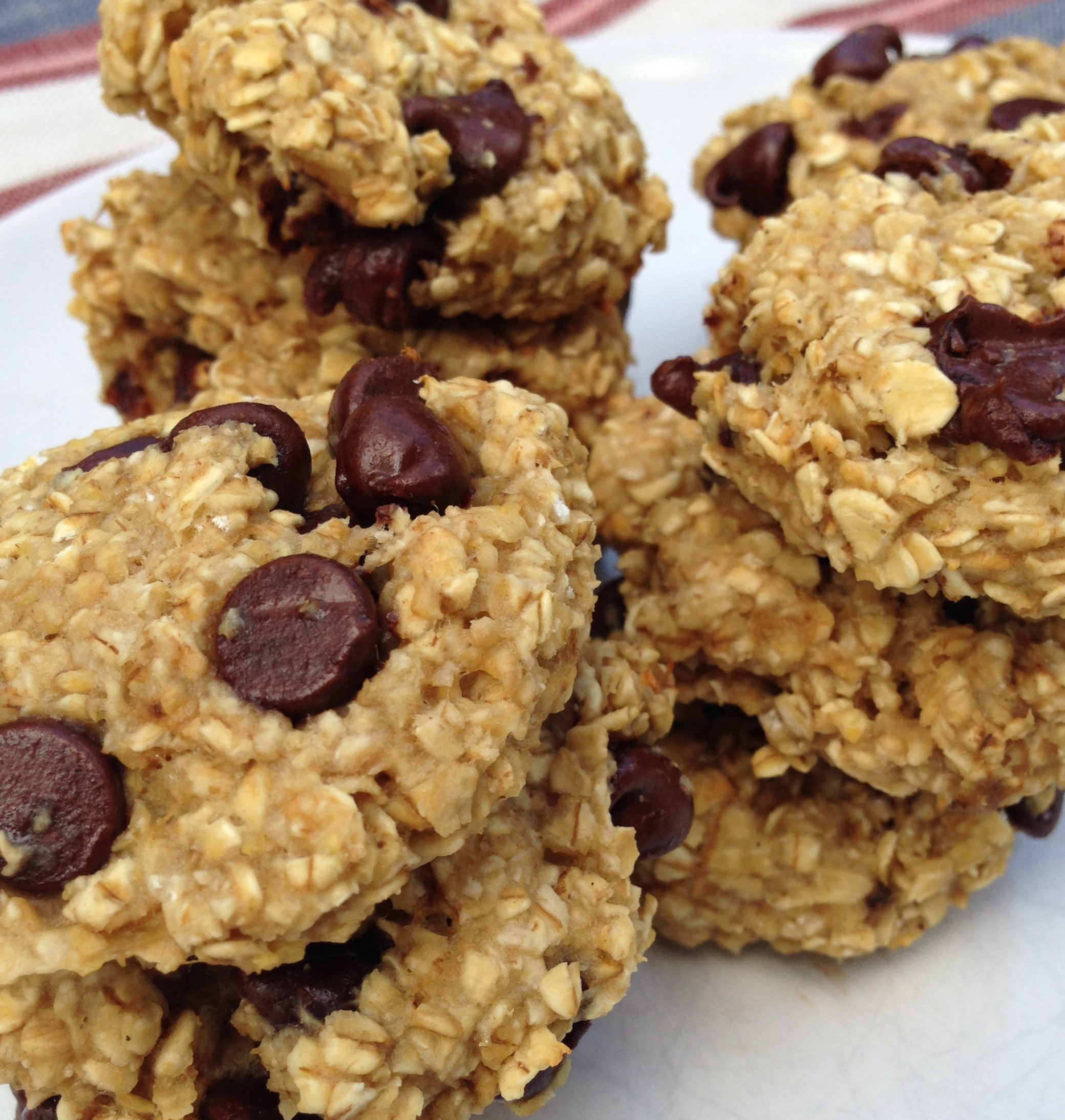 These chocolate chip oat cookies are the perfect cross between a cookie and muffin. Packed with gluten free ingredients including oats, bananas, applesauce, and protein powder you wont feel guilty about cookies for breakfast!