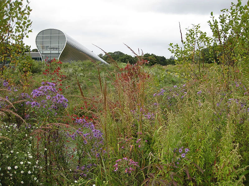 CT Water Treatment Facility, designed by Michael Van Valkenburgh and Associates