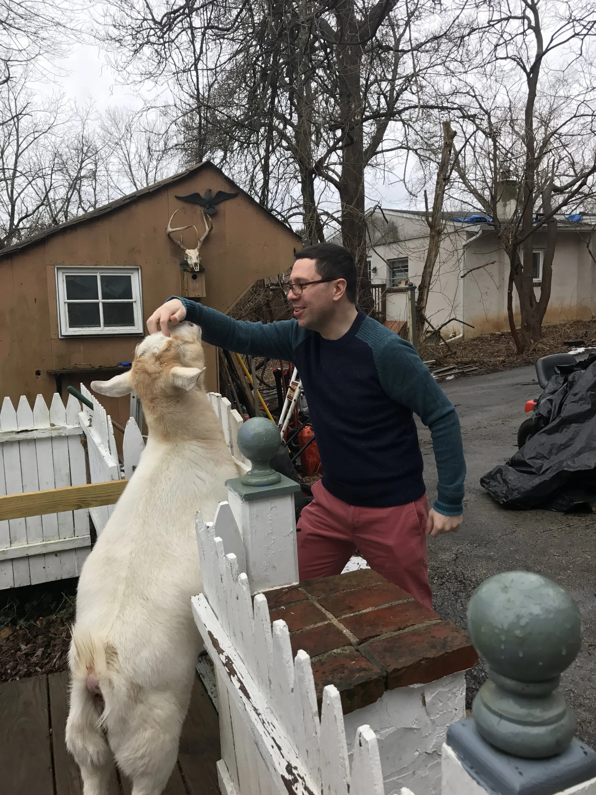 Capricorn, the mountain goat!
