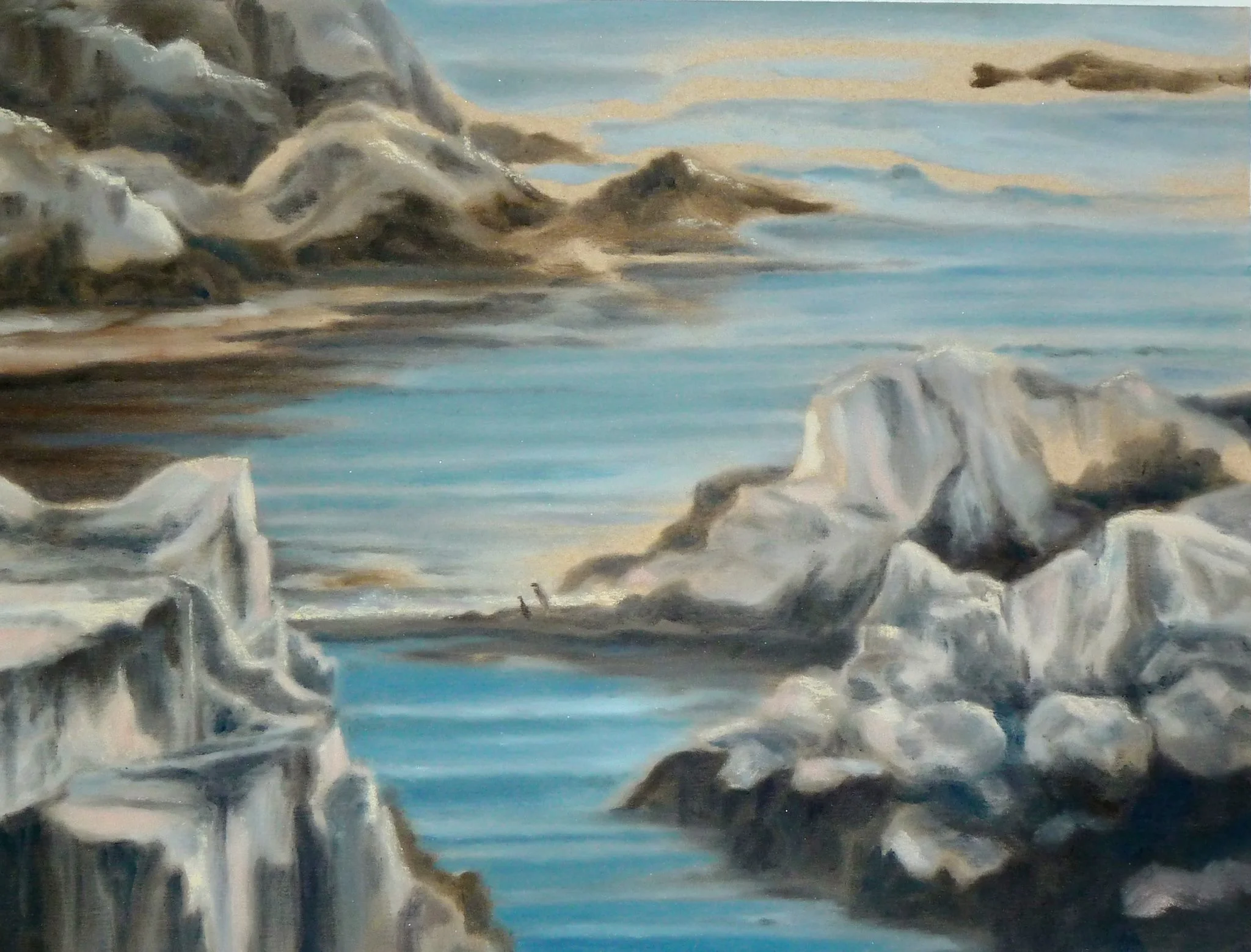 “Bird Island”