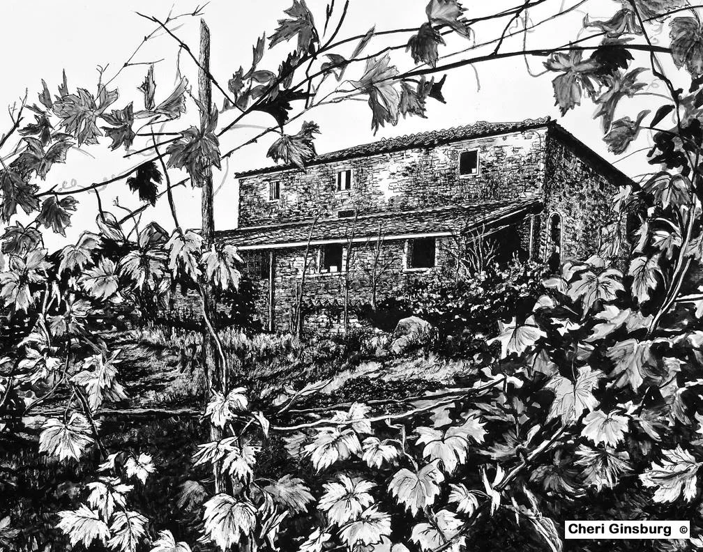 “View from the Vineyard”