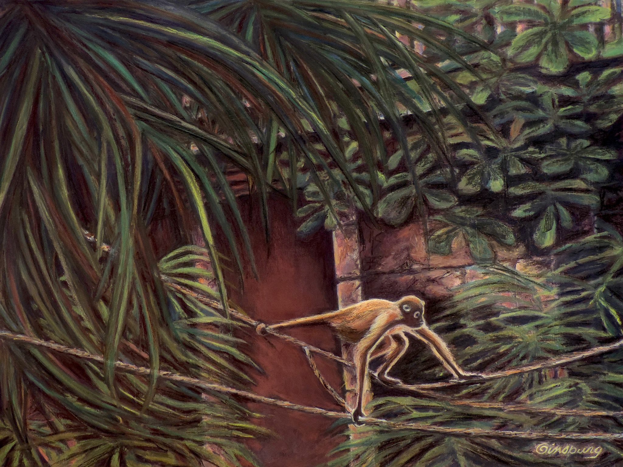 “white-headed capuchin monkey", costa rica Pastel Cheri GInsburg ©