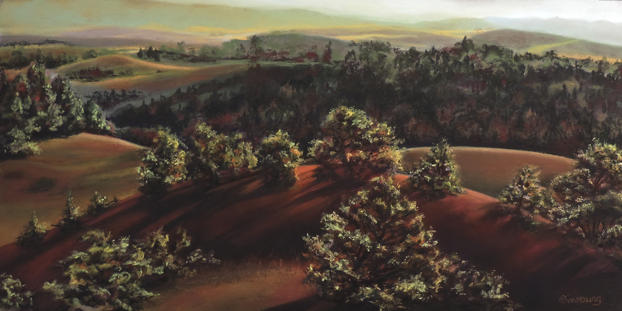 “SANDHILLS SYMPHONY", HALSEY NATIONAL FOREST, HALSEY, NEBRASKA Pastel Cheri GInsburg ©