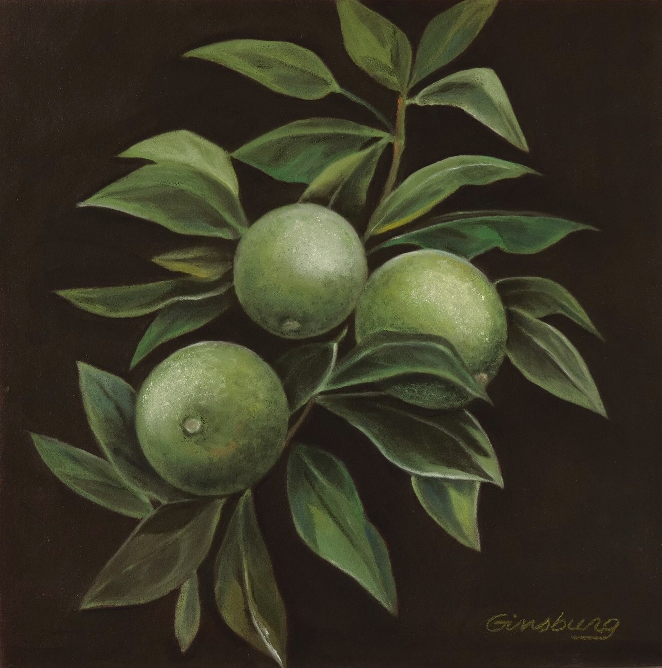 “branch of the lime" PanPastel® Cheri GInsburg ©