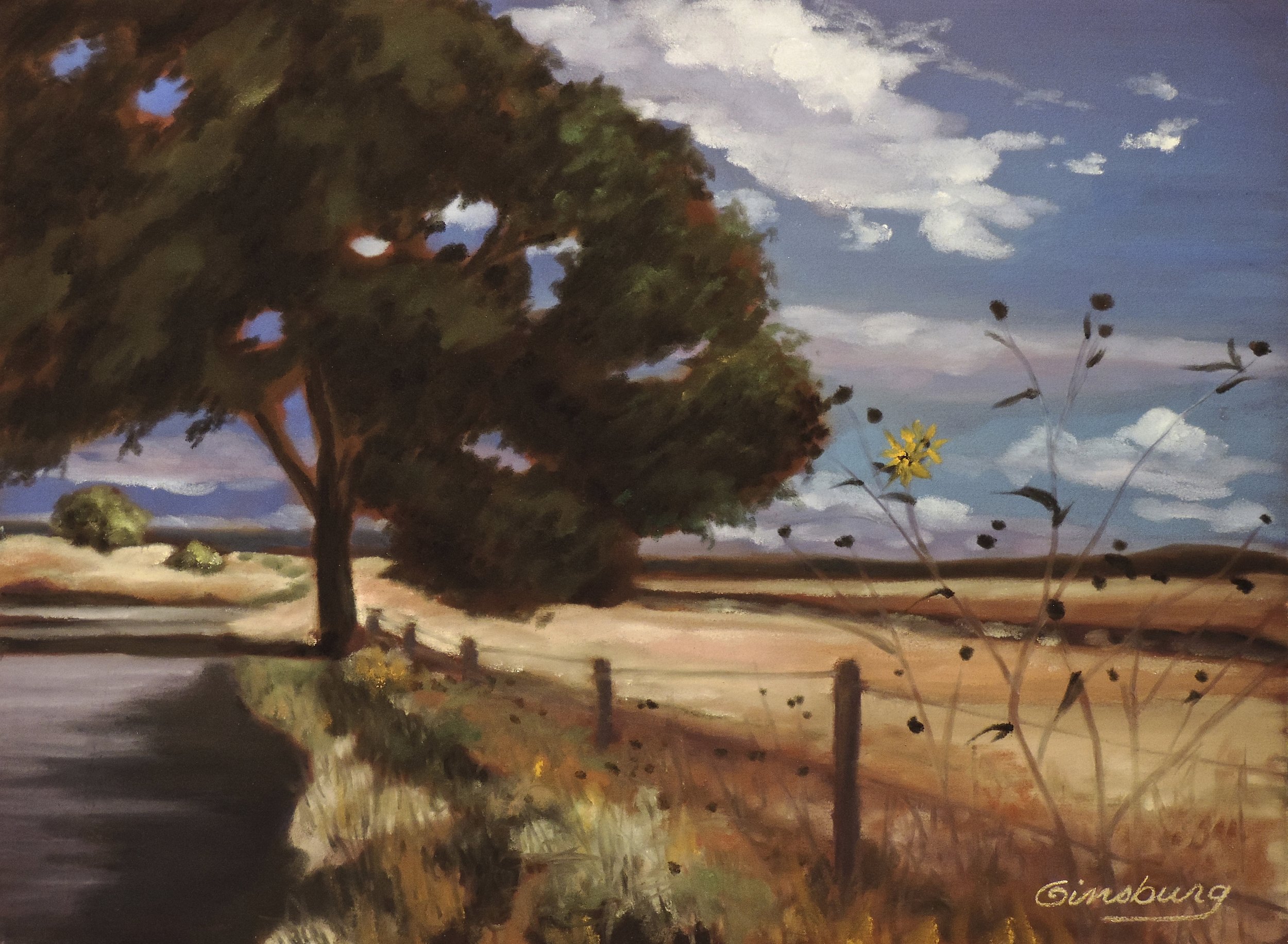 “New Mexico sunflowers", near lamy, New Mexico Plein Air PanPastel® Cheri GInsburg ©