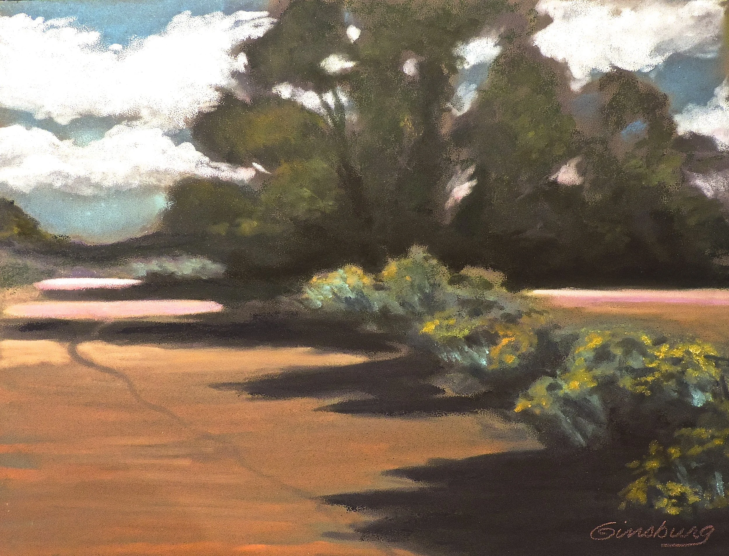 “shadows of the arroyo", museum hill, Santa Fe, New Mexico Plein Air PanPastel® Cheri GInsburg ©