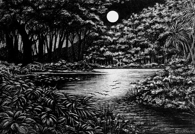 “midnight flight" Pen and Ink Cheri GInsburg © Best of Show, Omaha Artistsm