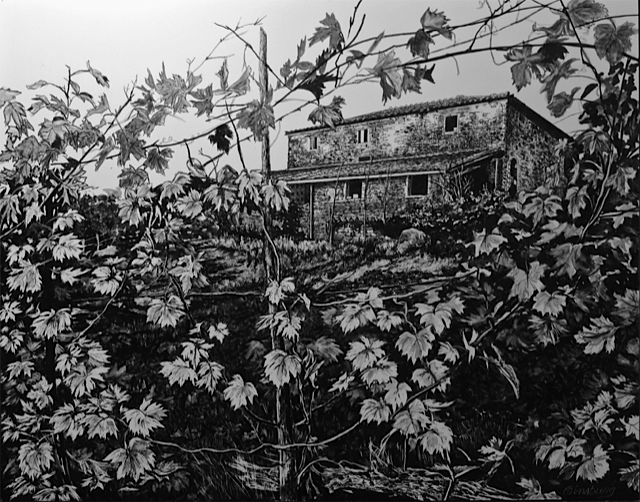 “view from the vineyard", dievole, near Vagliogli, italy Pen and Ink Cheri GInsburg ©