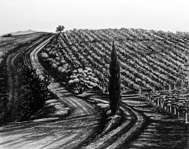 “tuscan countryside", dievole, near vagliogli, italy Pen and Ink Cheri GInsburg ©