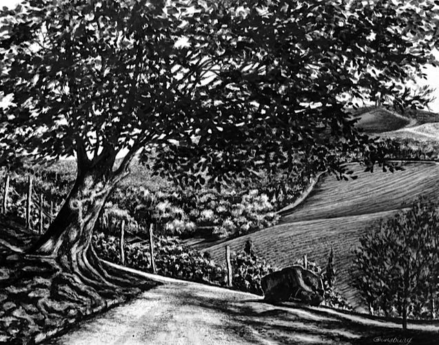 “tuscan solitude", dievole, near vagliogli, italy Pen and Ink Cheri GInsburg ©