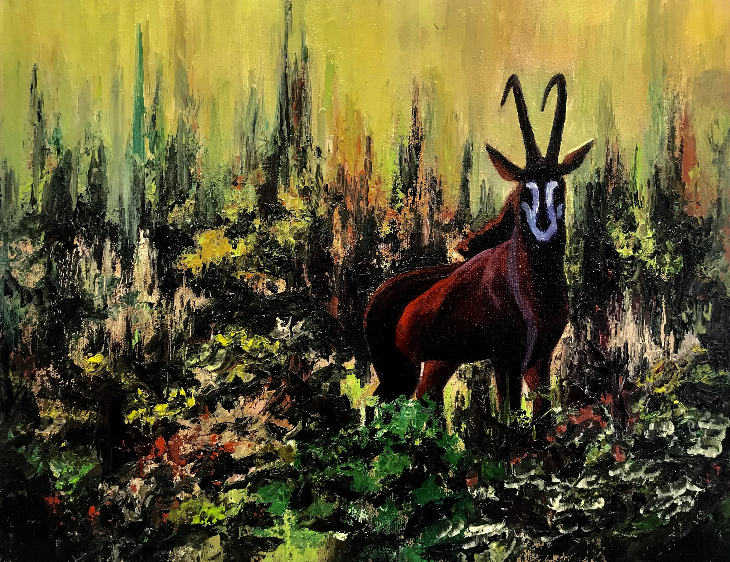 "AFRICAN SABLE" 11 X 14 OIL Cheri GInsburg ©