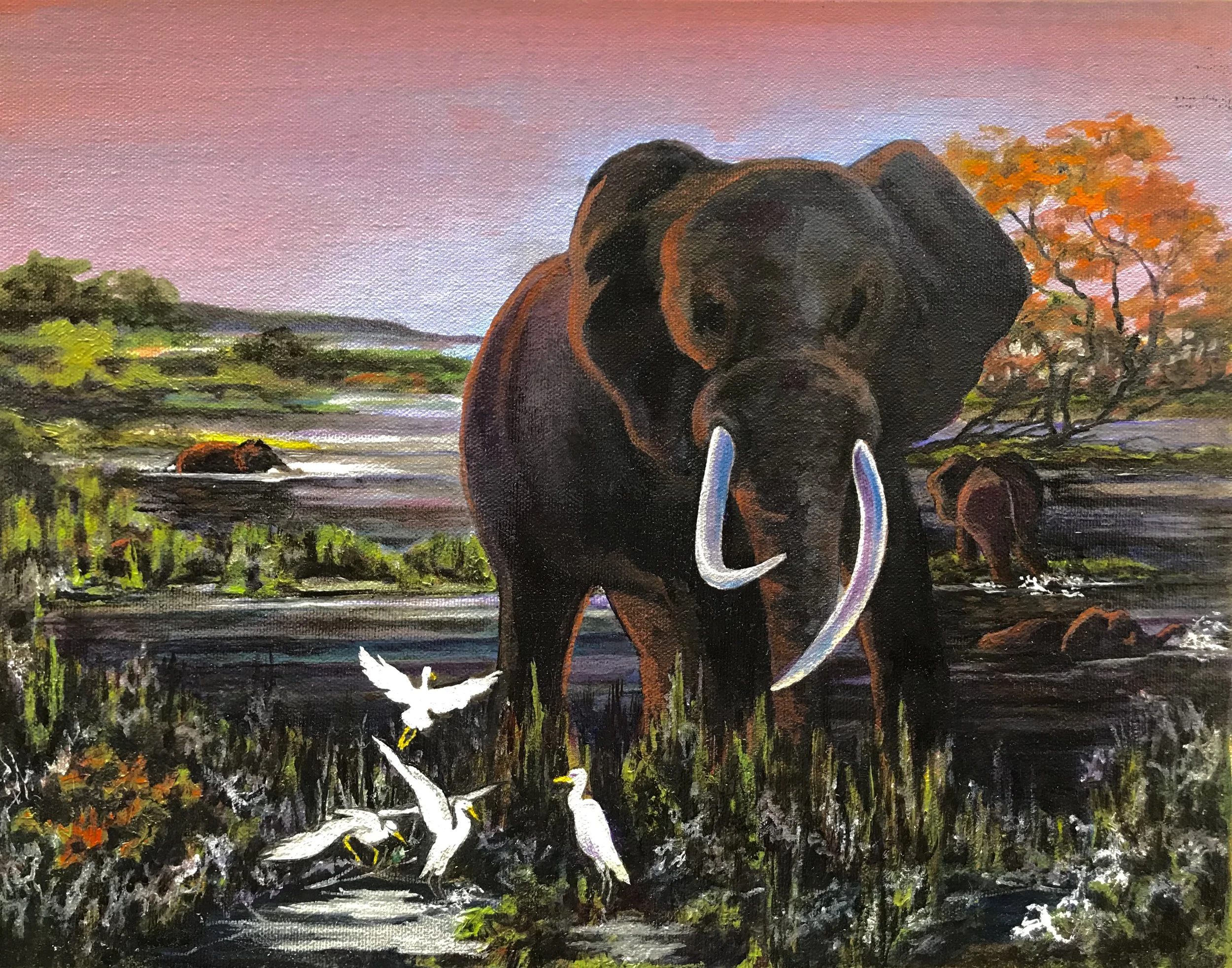 Untitled Elephant Zambia, Africa 11 x 14 Oil on canvas Cheri GInsburg ©