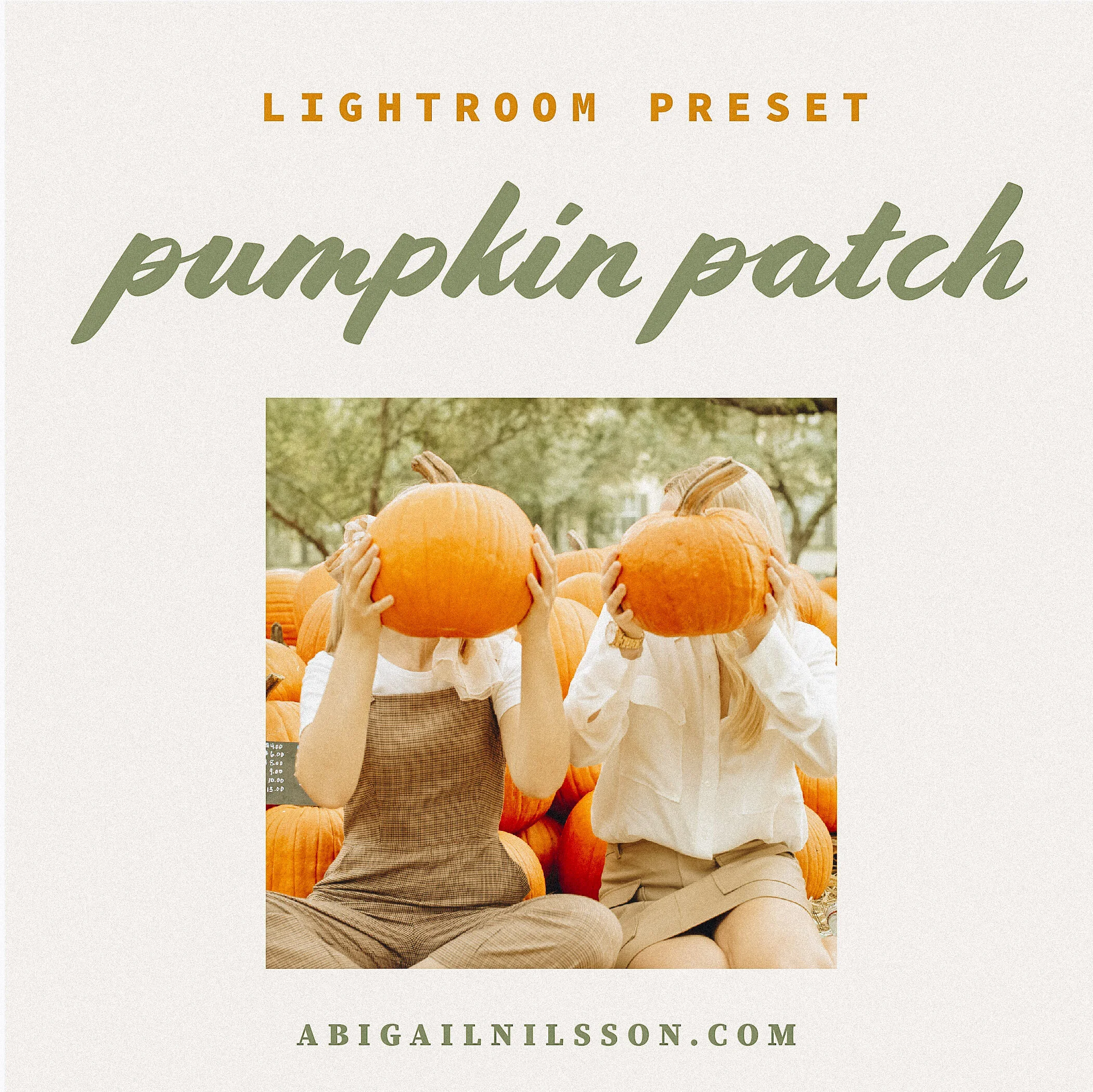 Pumpkin_Patch_Preset_NilssonPhoto.jpg