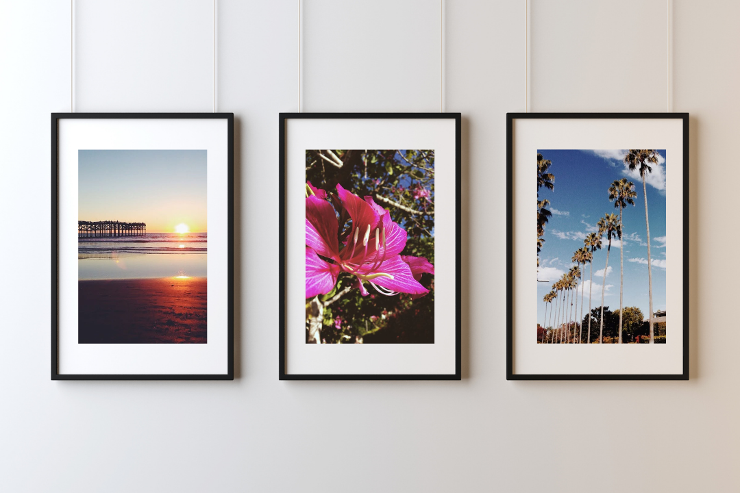 FEATURED PHOTOGRAPHER