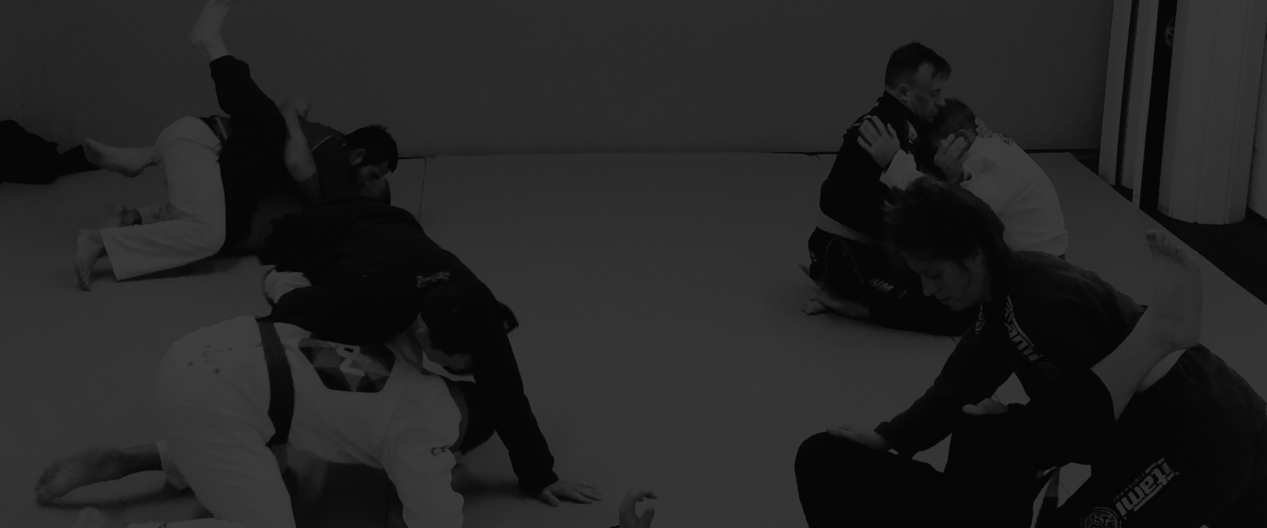 eastside-bjj_bottombanner.jpg