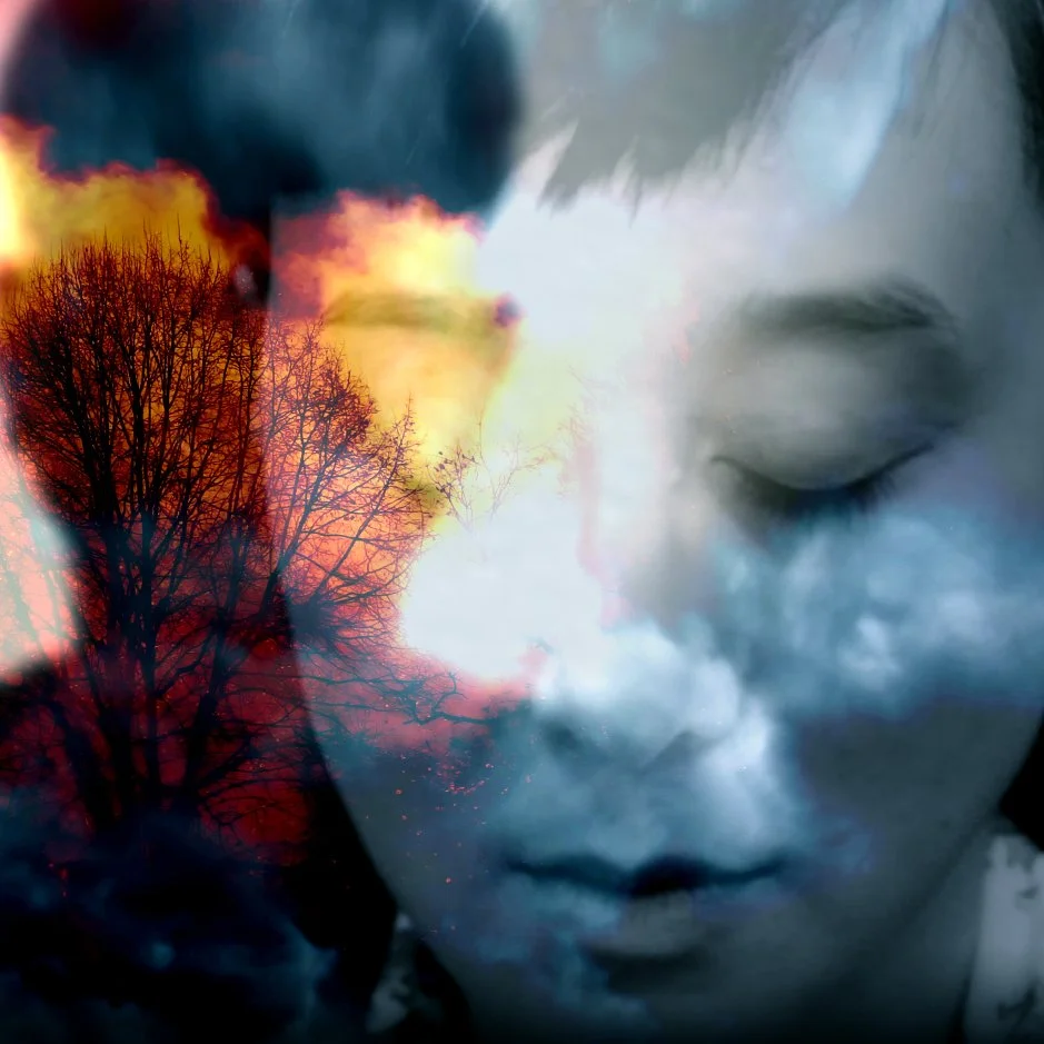 Meltdown promo image bluer.jpg