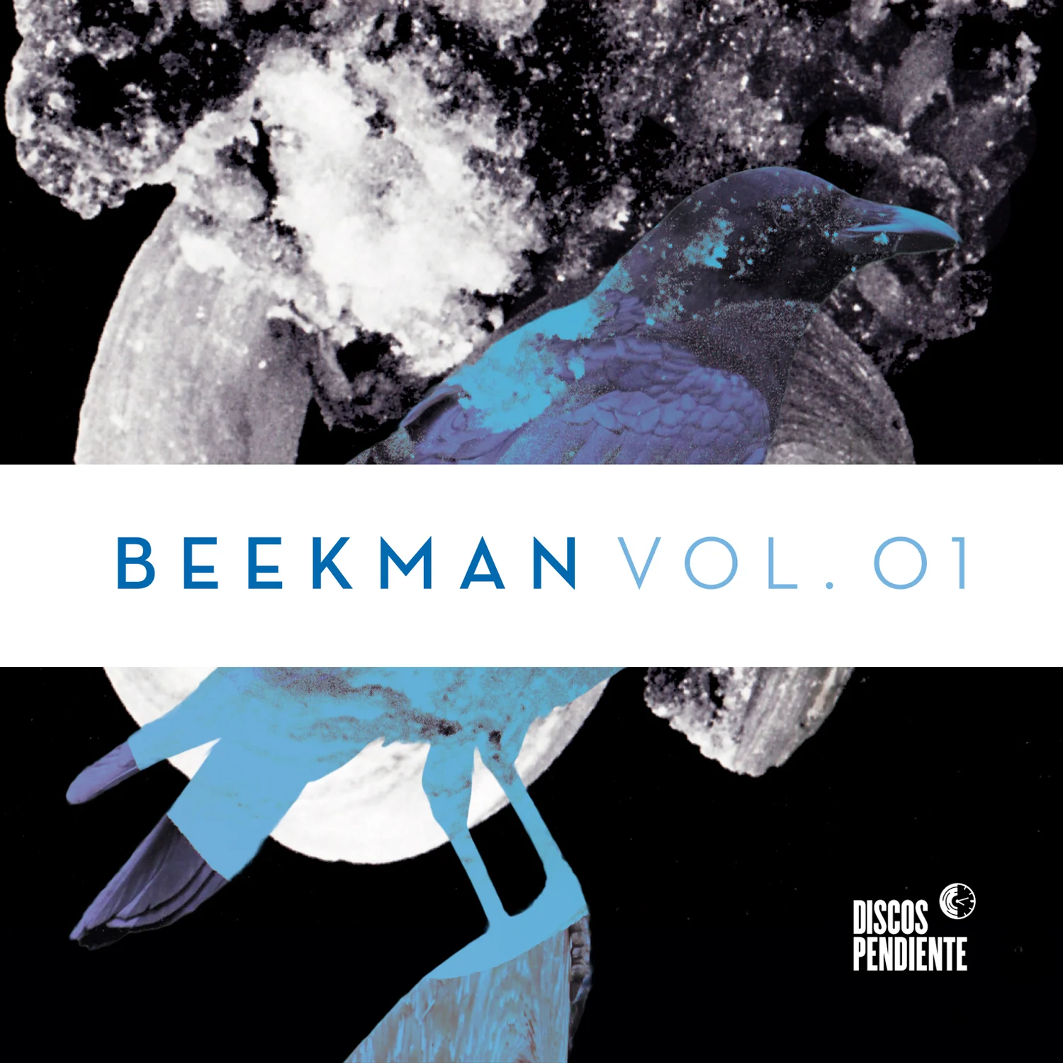 Vol. 01 / Beekman