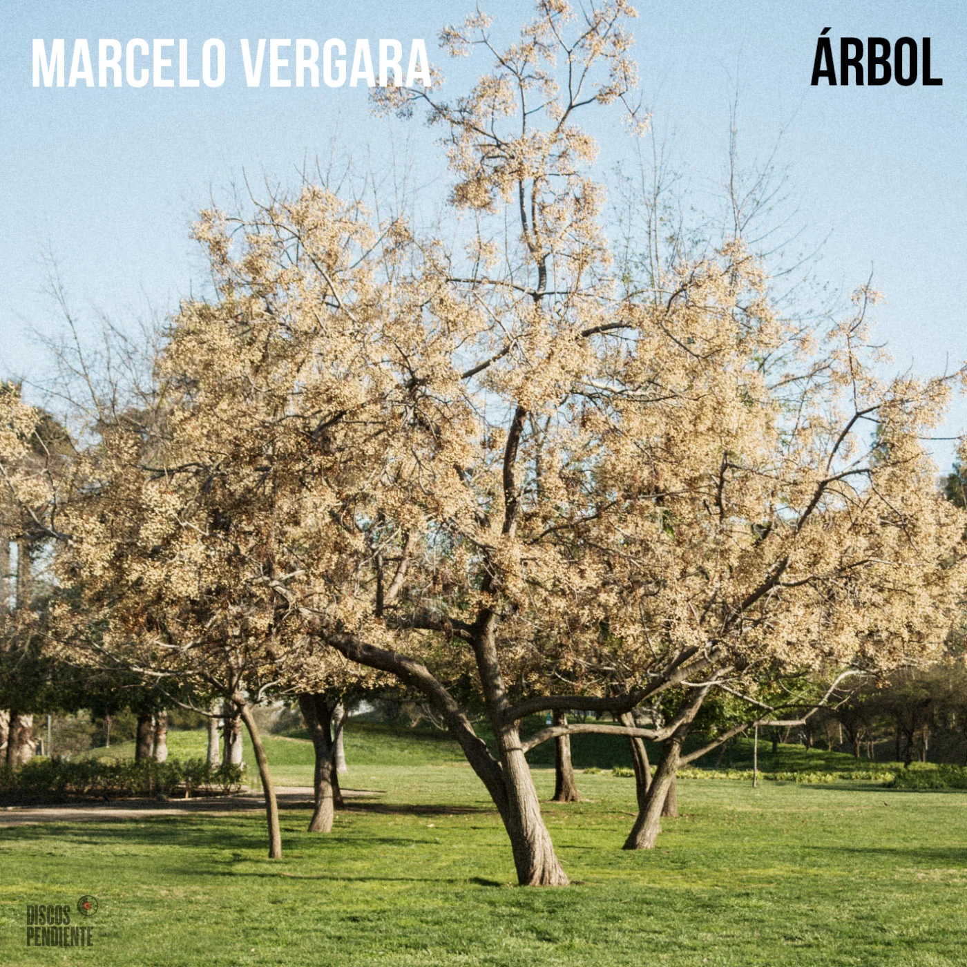 Árbol (DPCD48)
