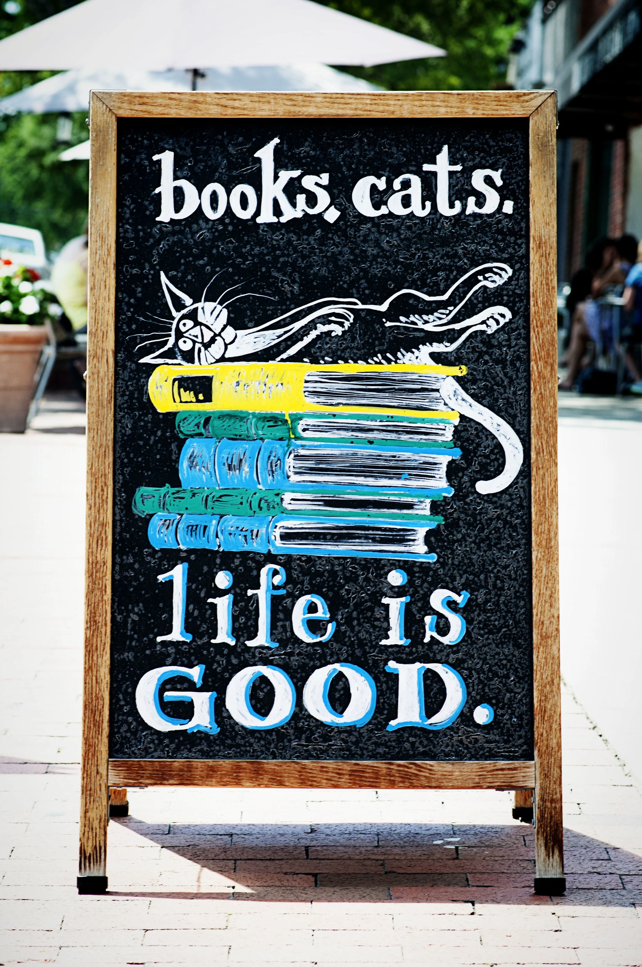 Chapel Hill - Franklin Street - sandwich boards - signs - summer - NC