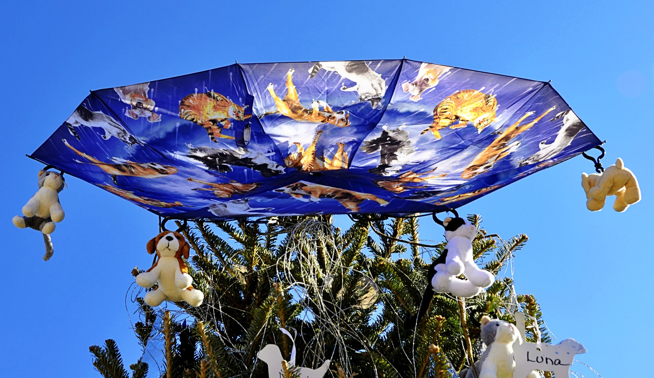 Treetop7.jpg