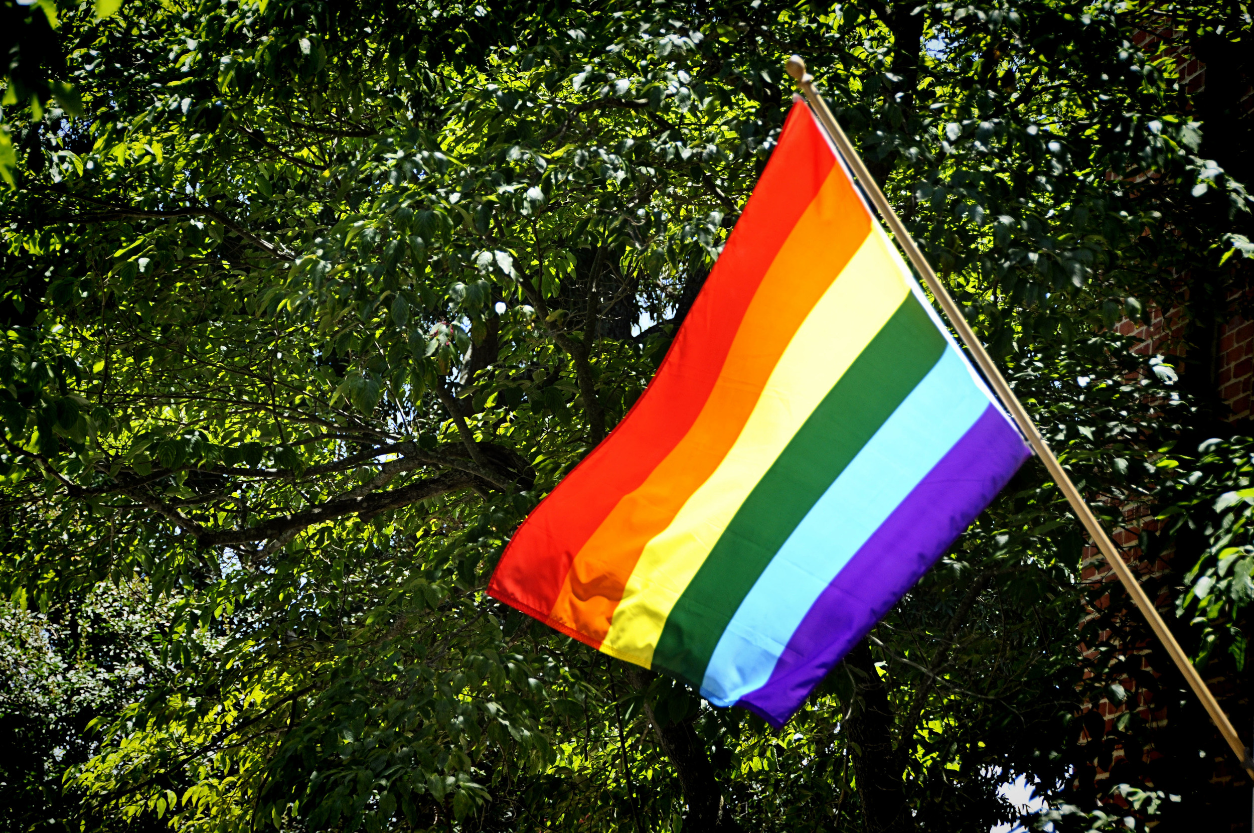 Rainbow Flag.jpg