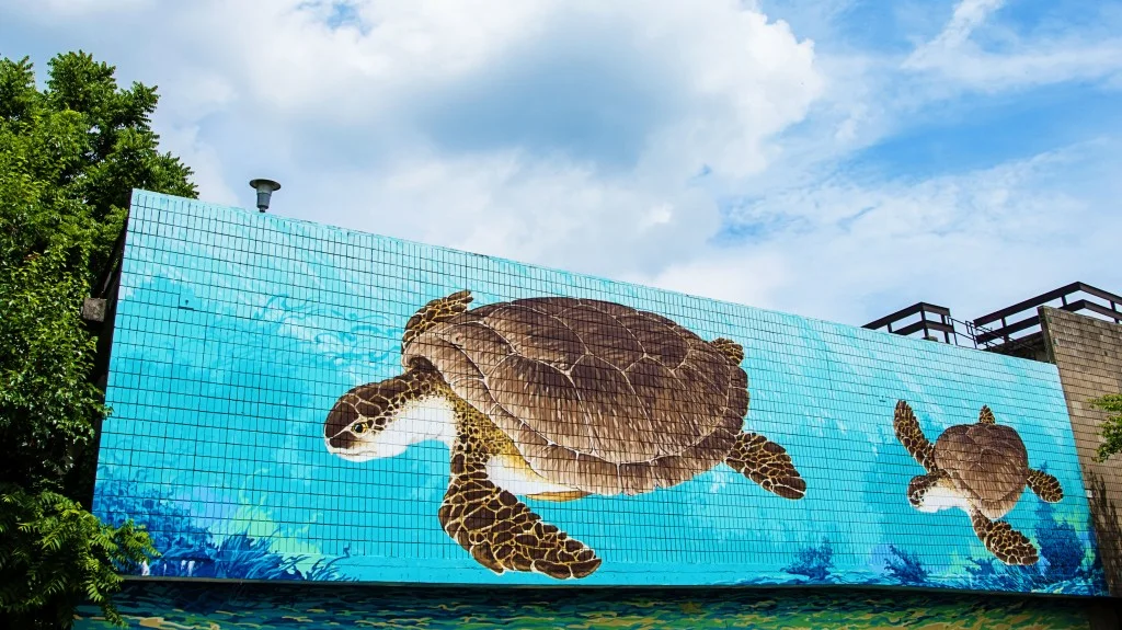 SeaTurtle-mural-1024x575.jpg