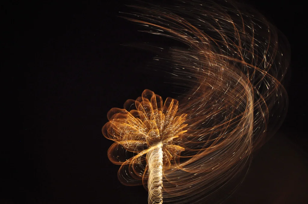 Fireworks-July-2015-18-1024x680.jpg