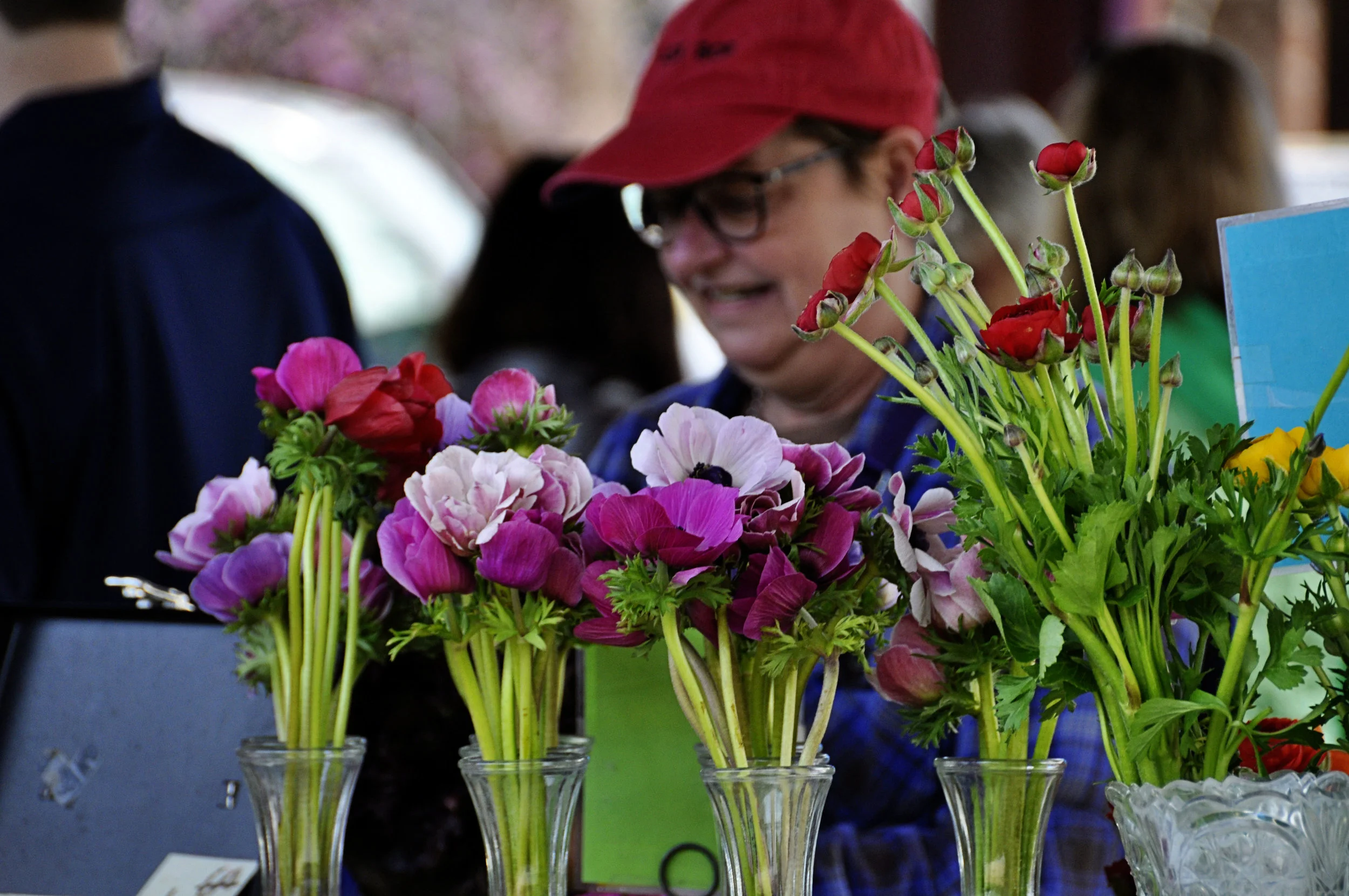 CarrboroFarmerMarket5.jpg