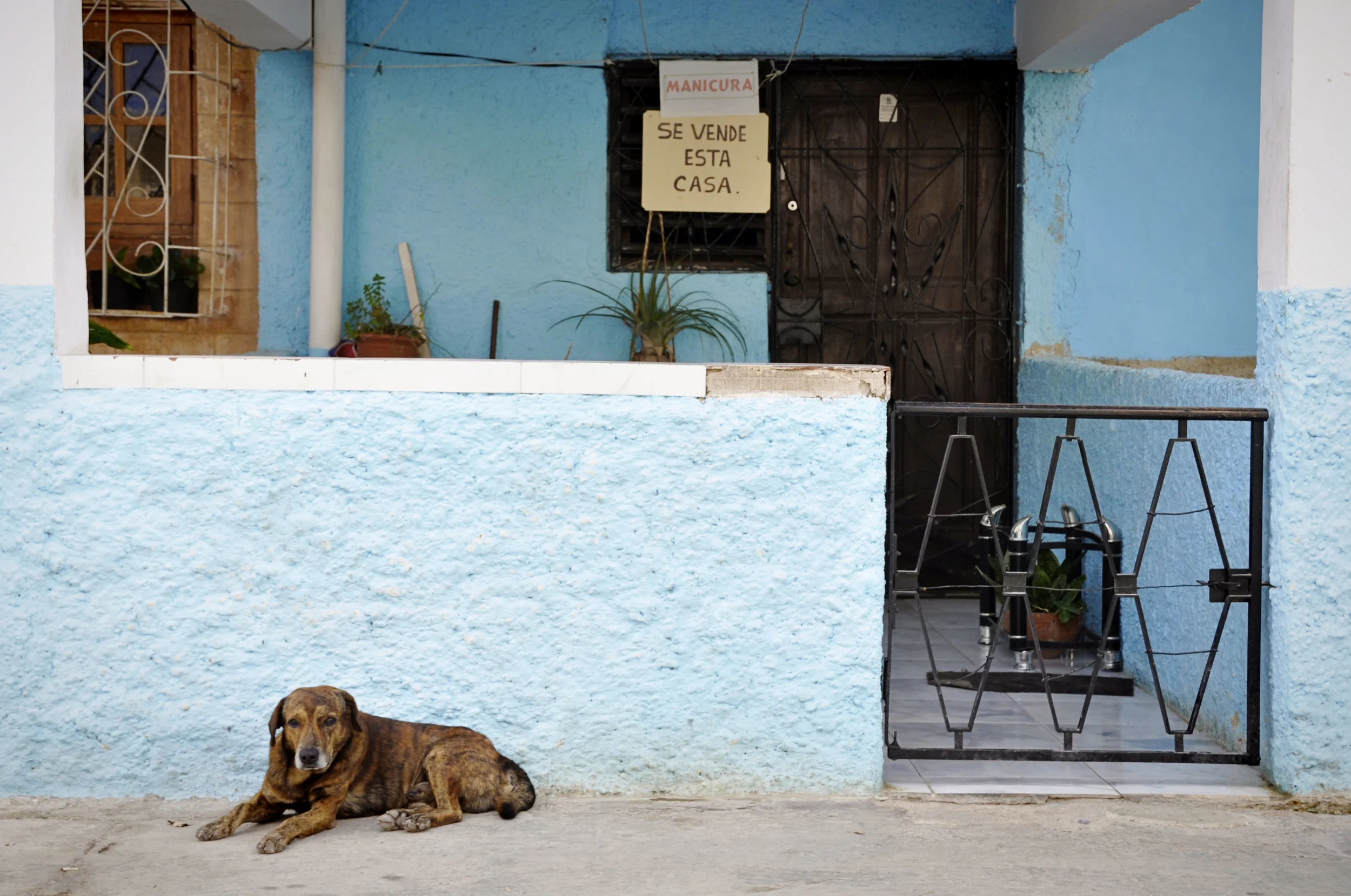 Havana316-52.jpg