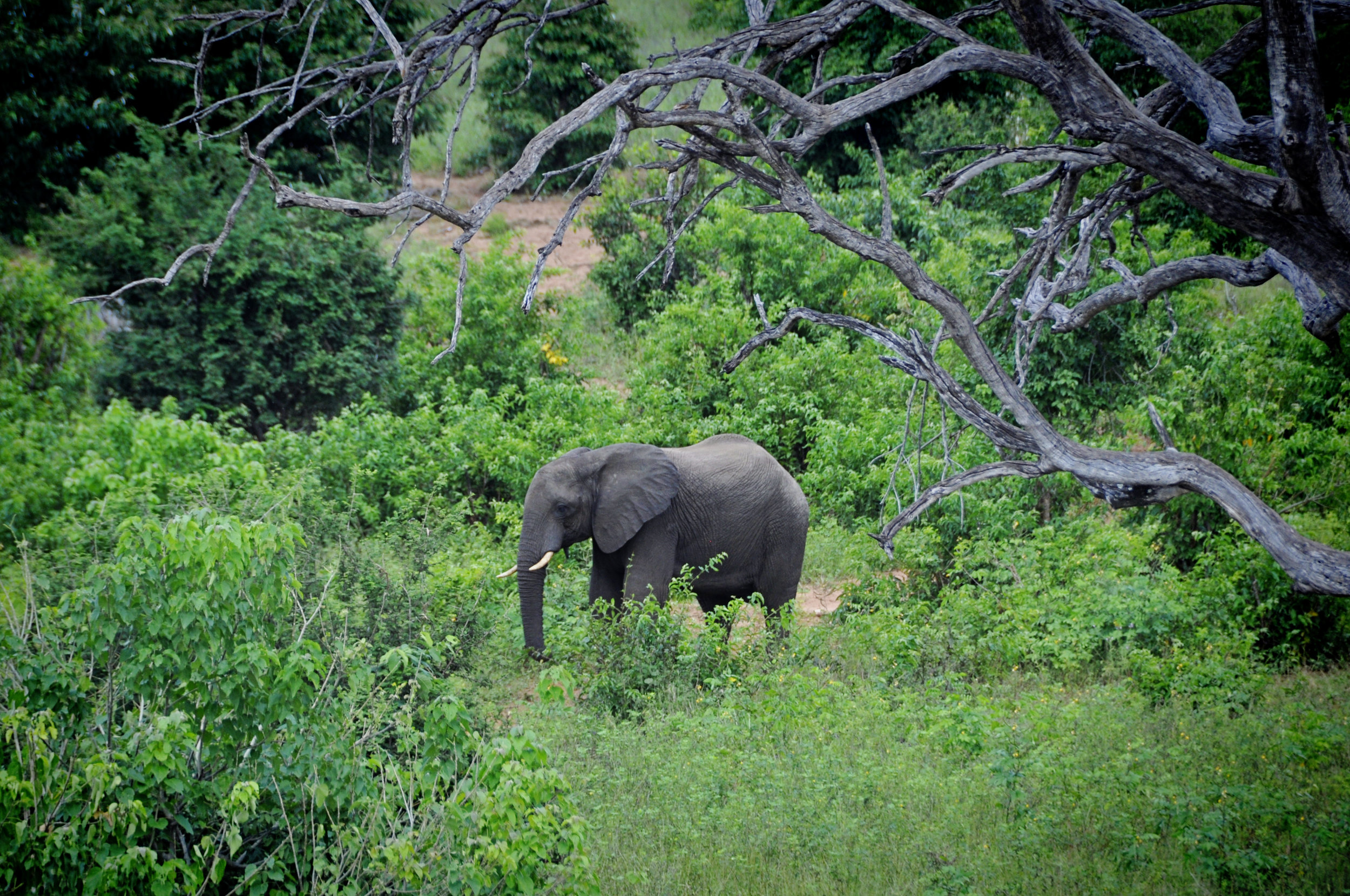 Africa-Botswana-27.jpg