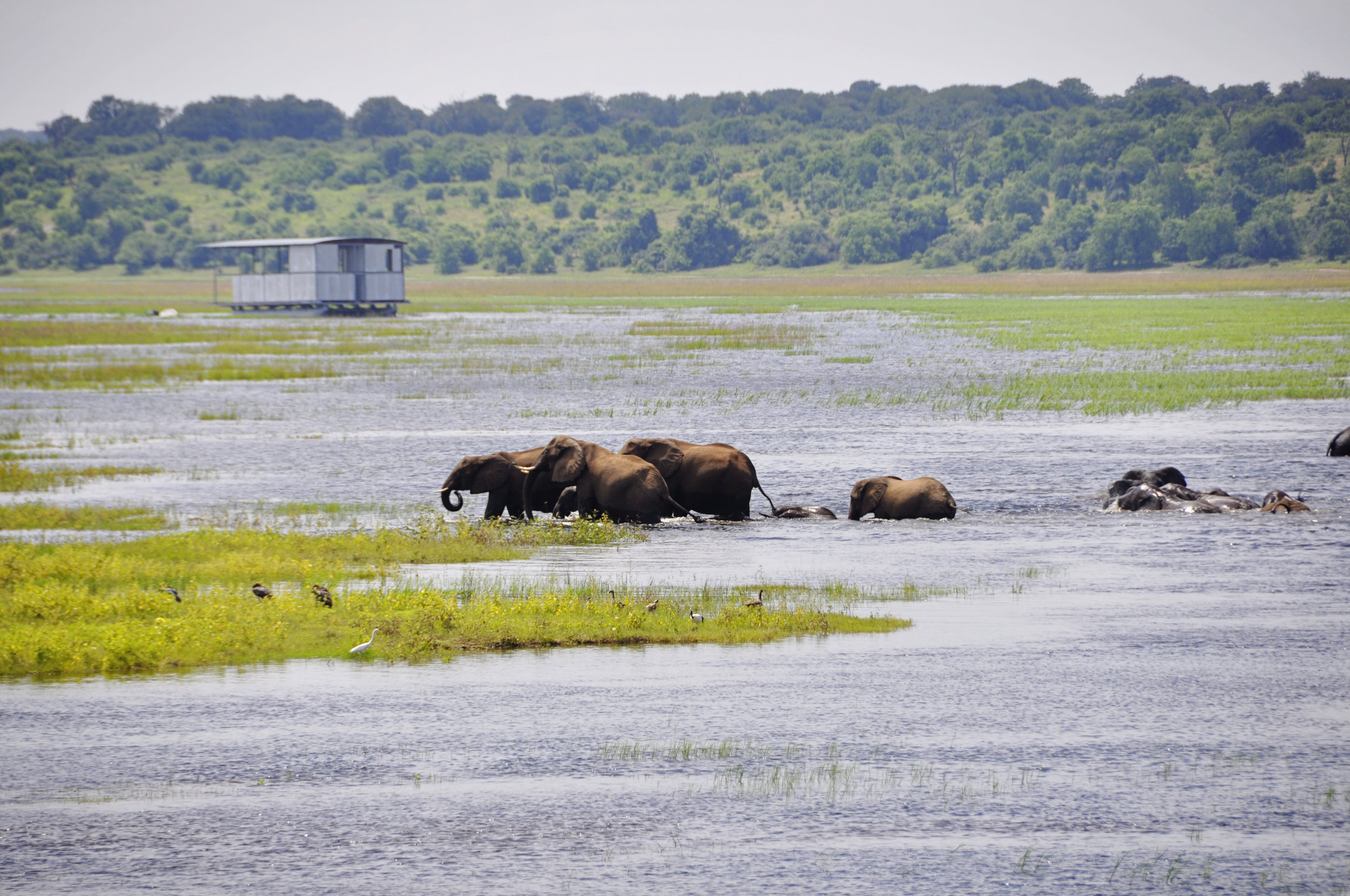 Africa-Botswana-95.jpg