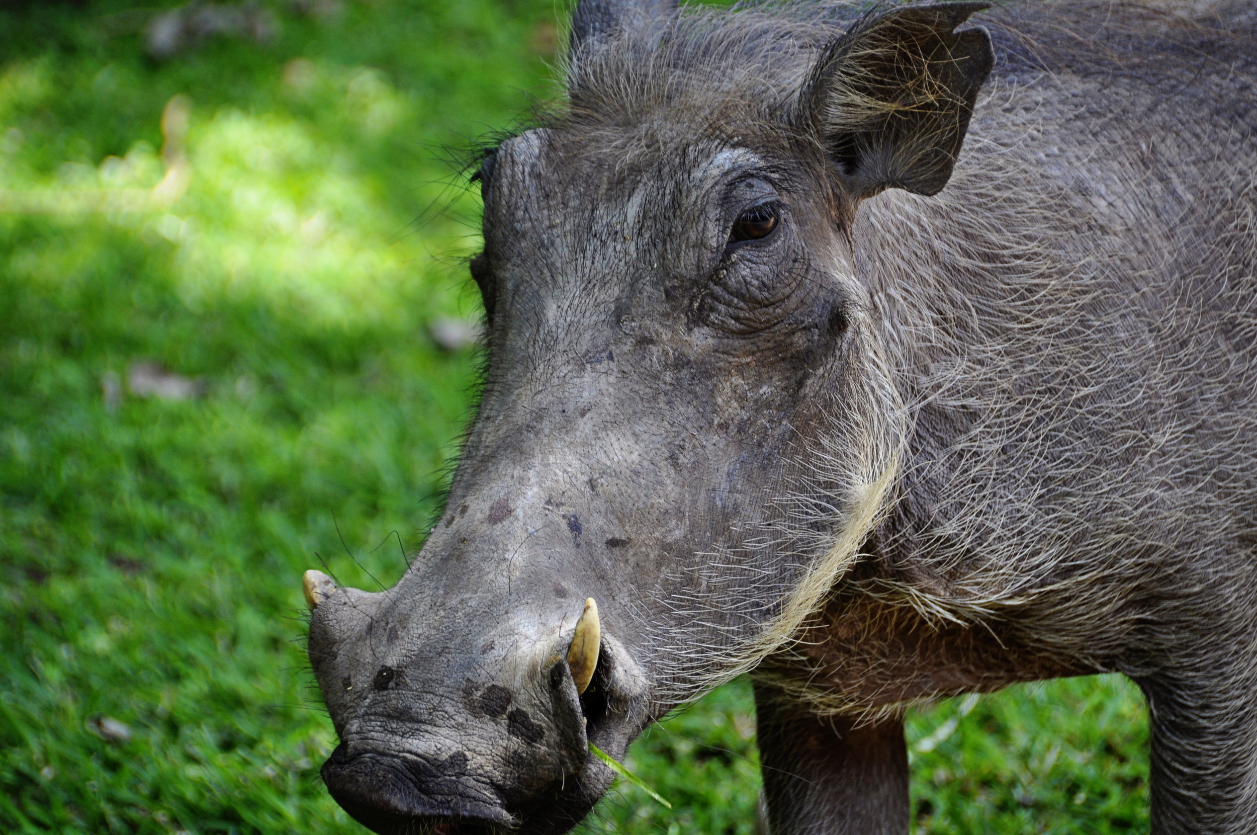 Africa-Botswana-97.jpg