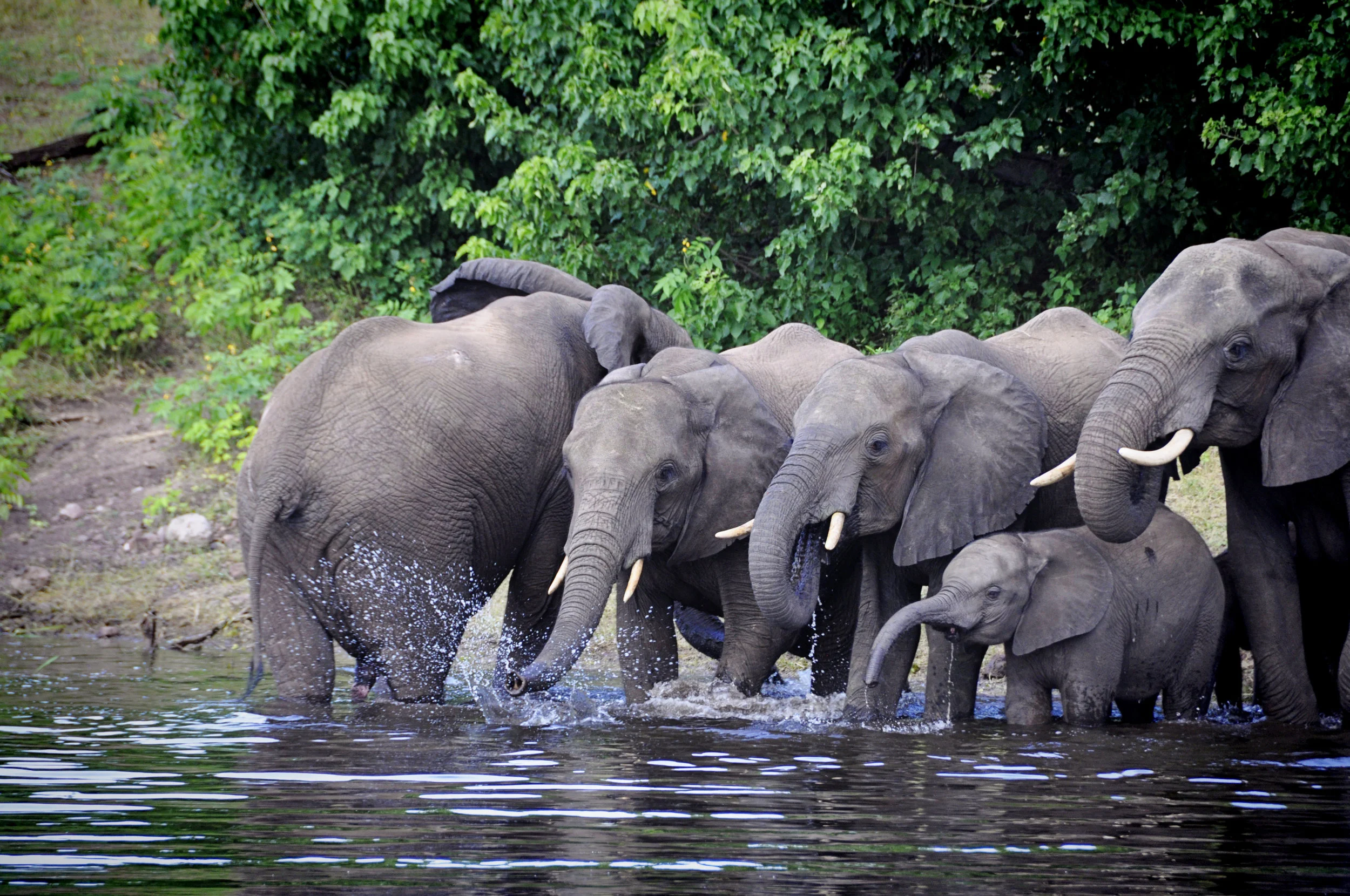 Africa-Botswana-38.jpg