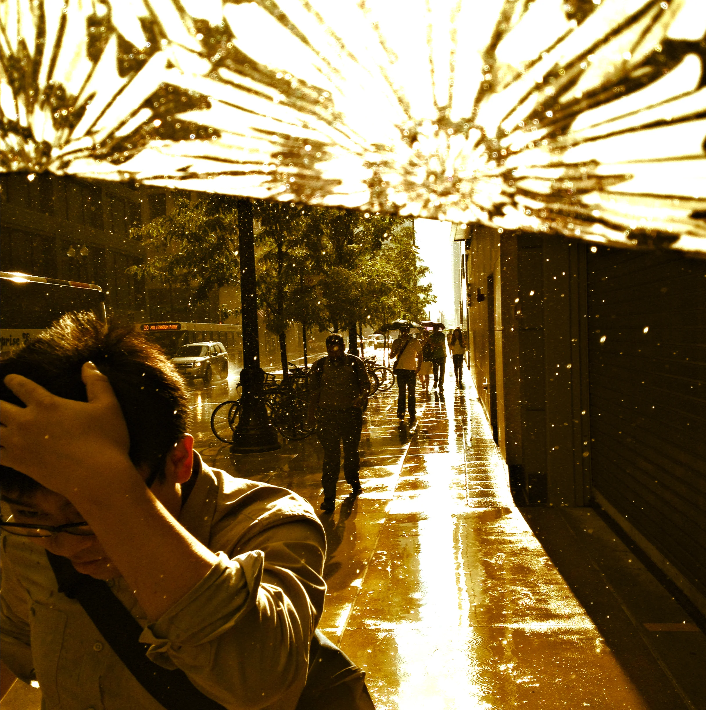 The Rain Runner