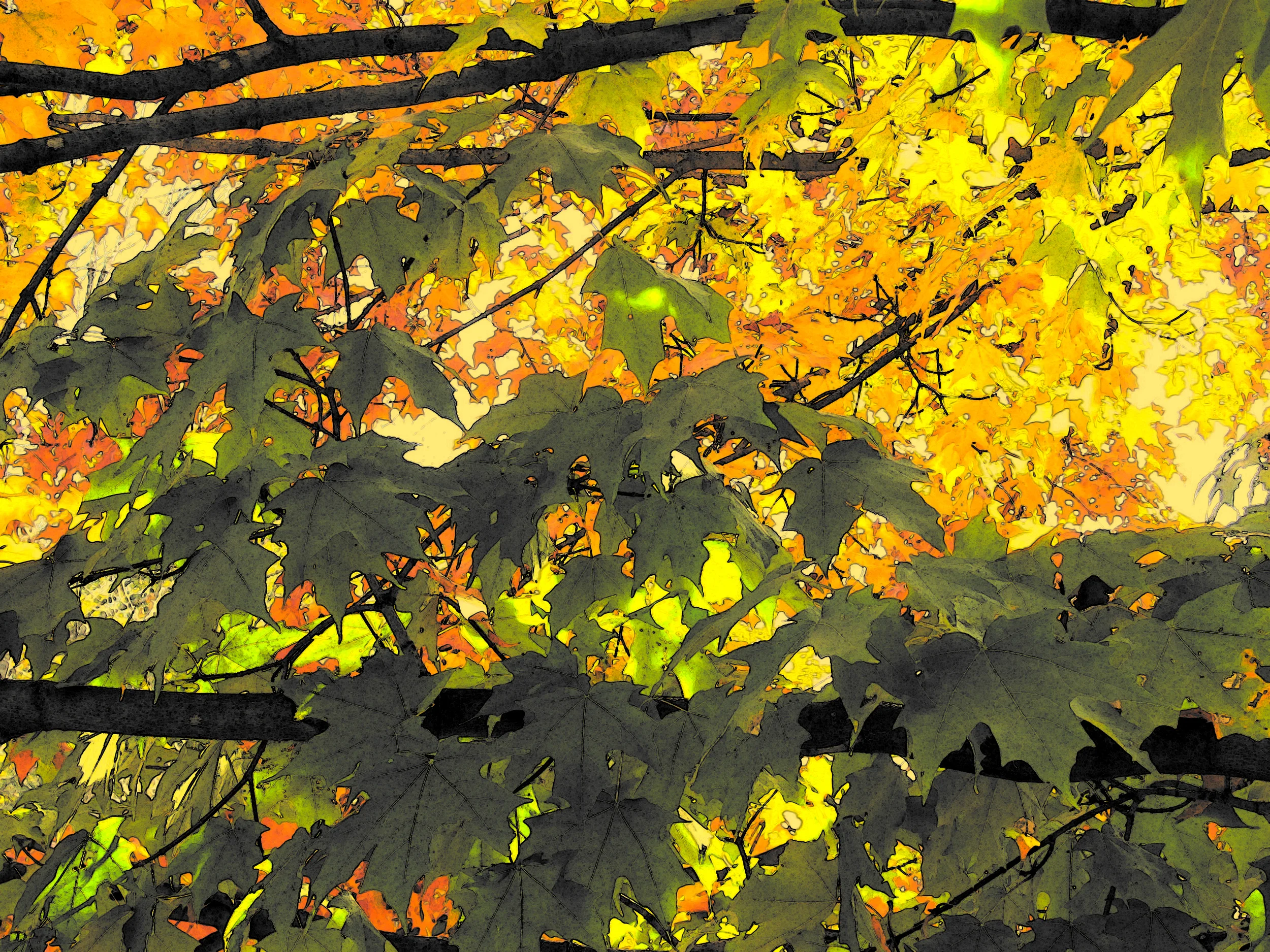 Colors #2