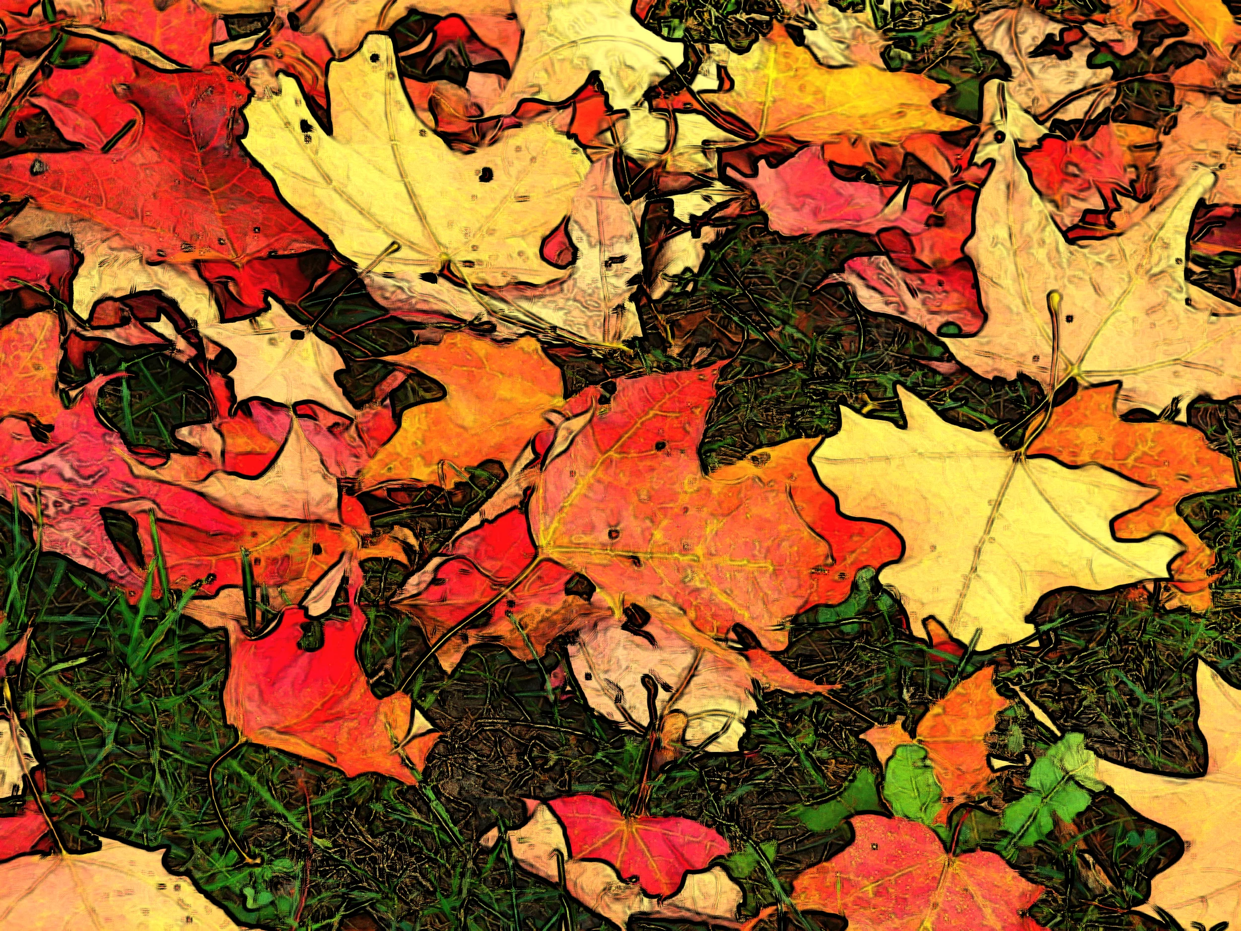 Leaves on Grass