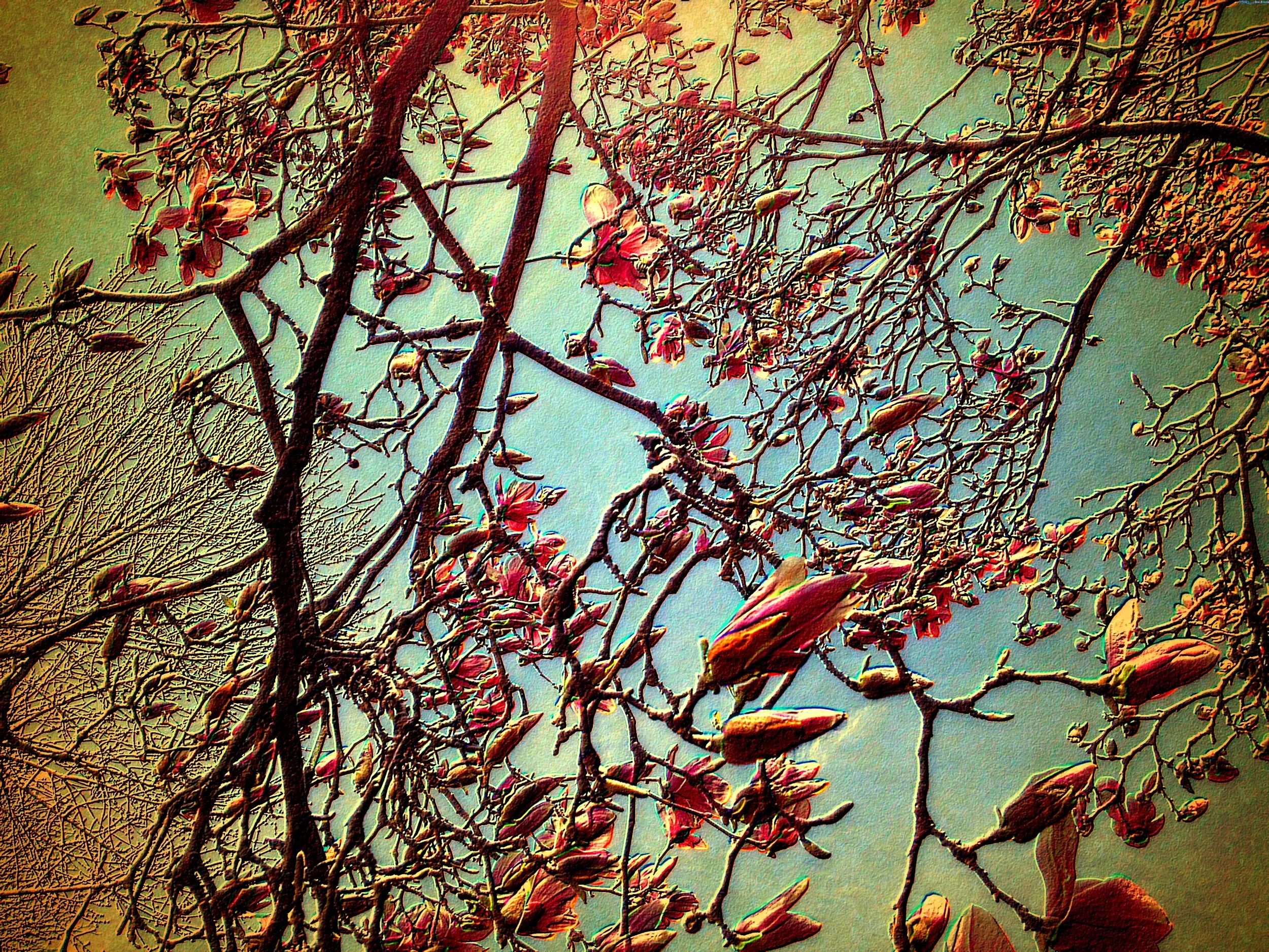 Vintage Spring