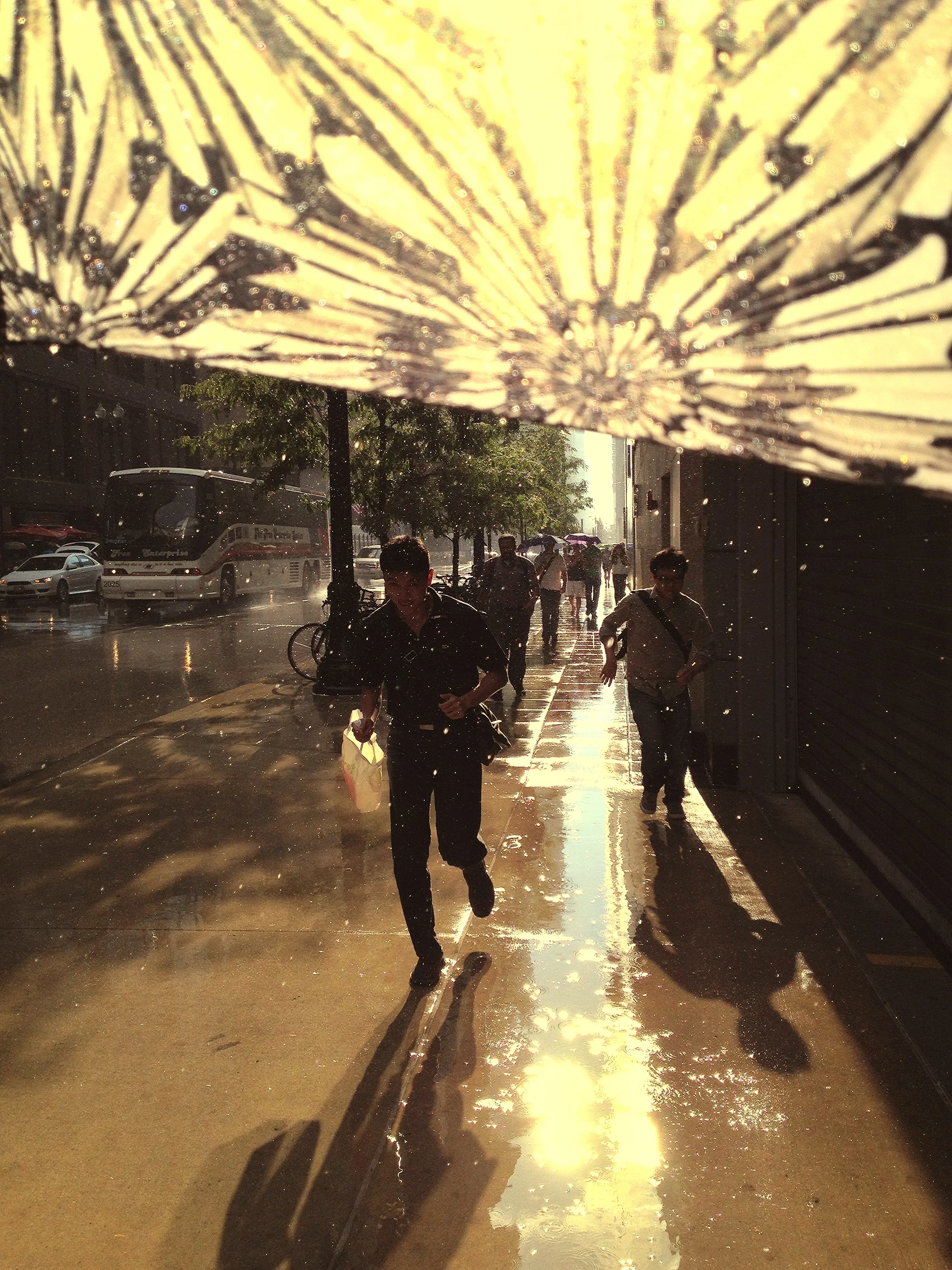 The Rain Runners