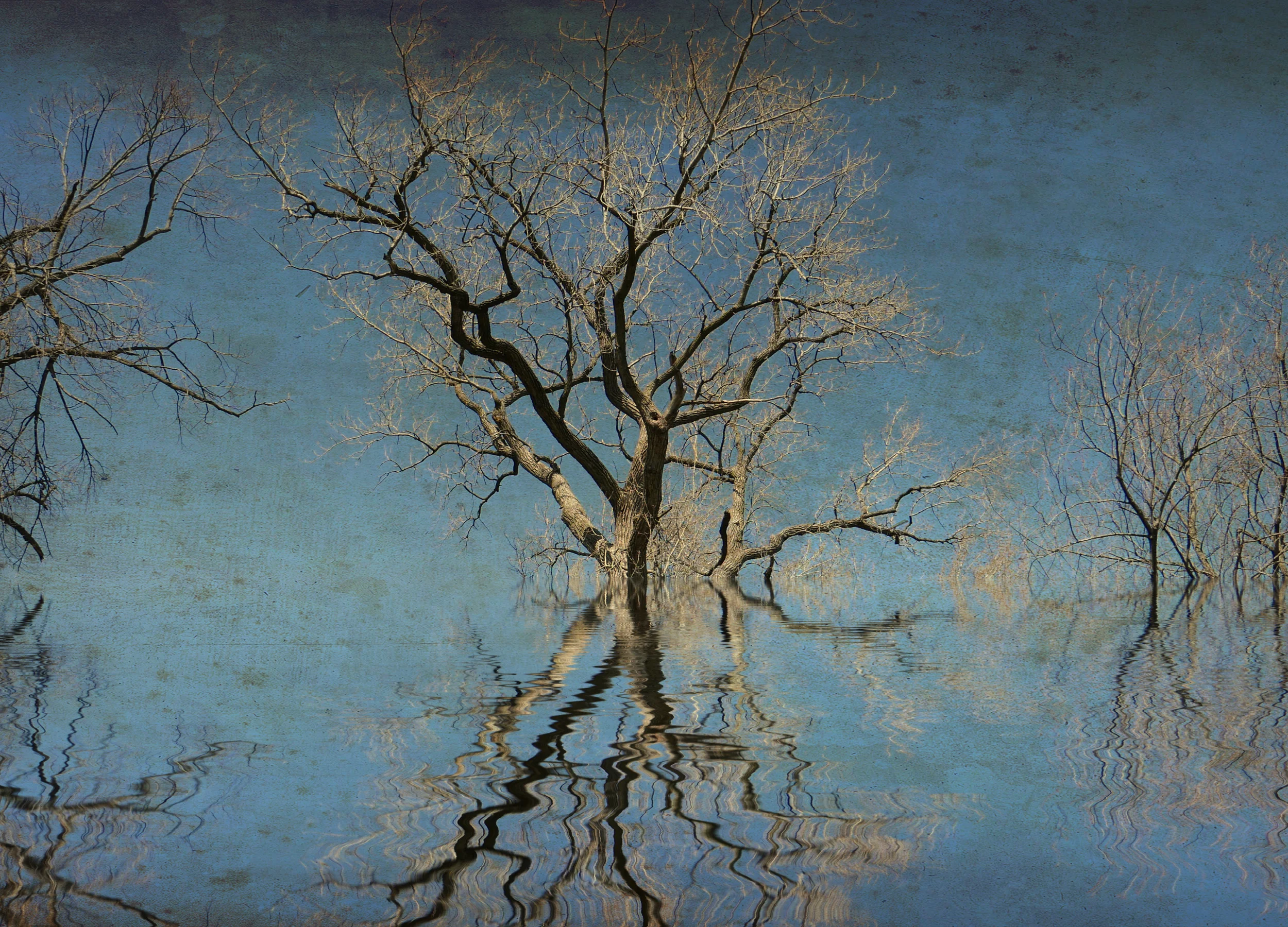 Ancient Lives