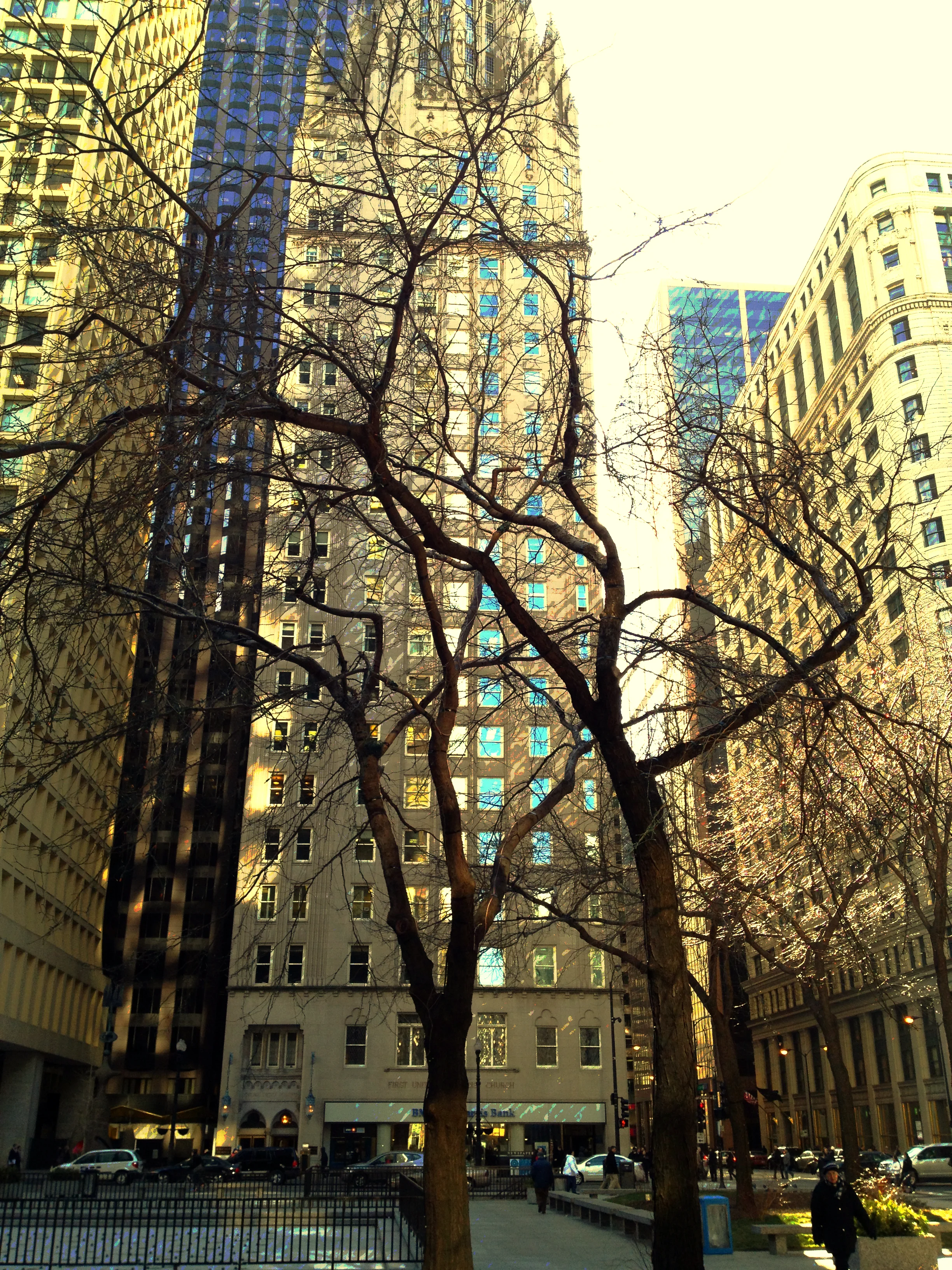 Tree versus Scraper