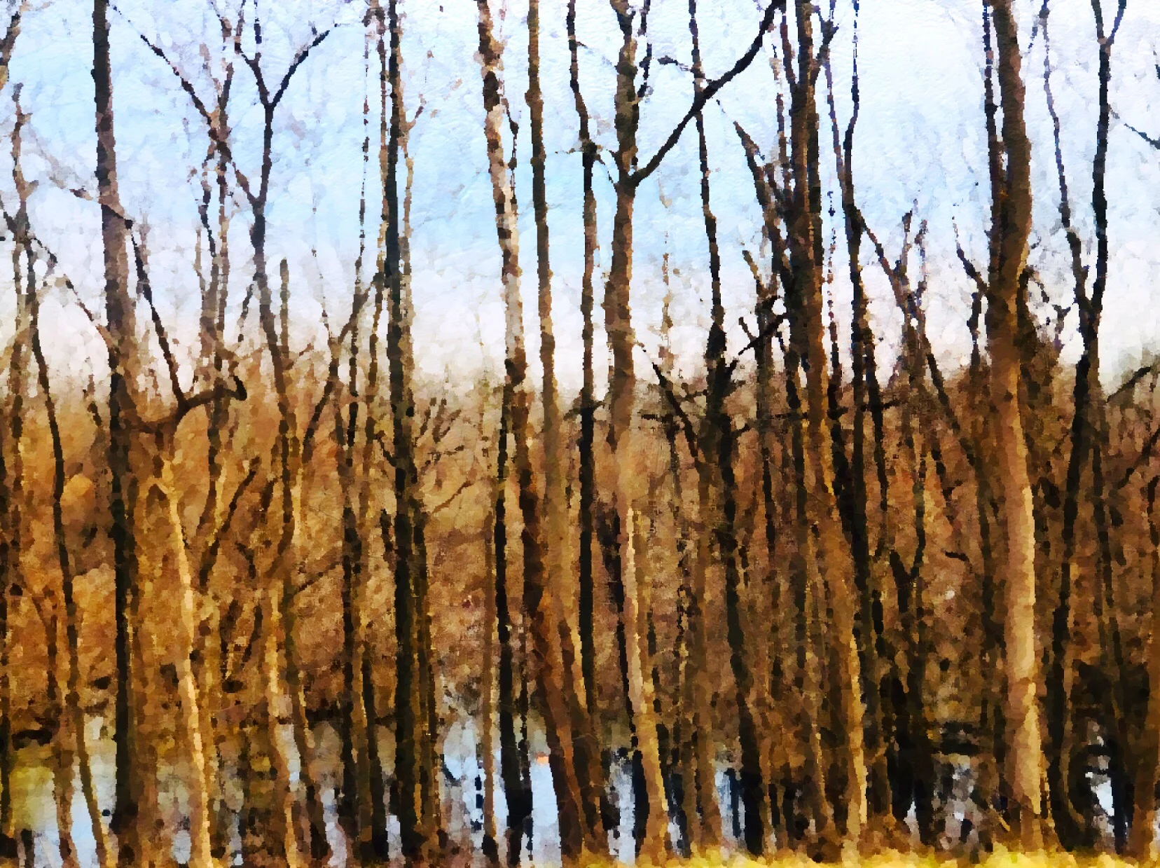 Wetland Arkansas